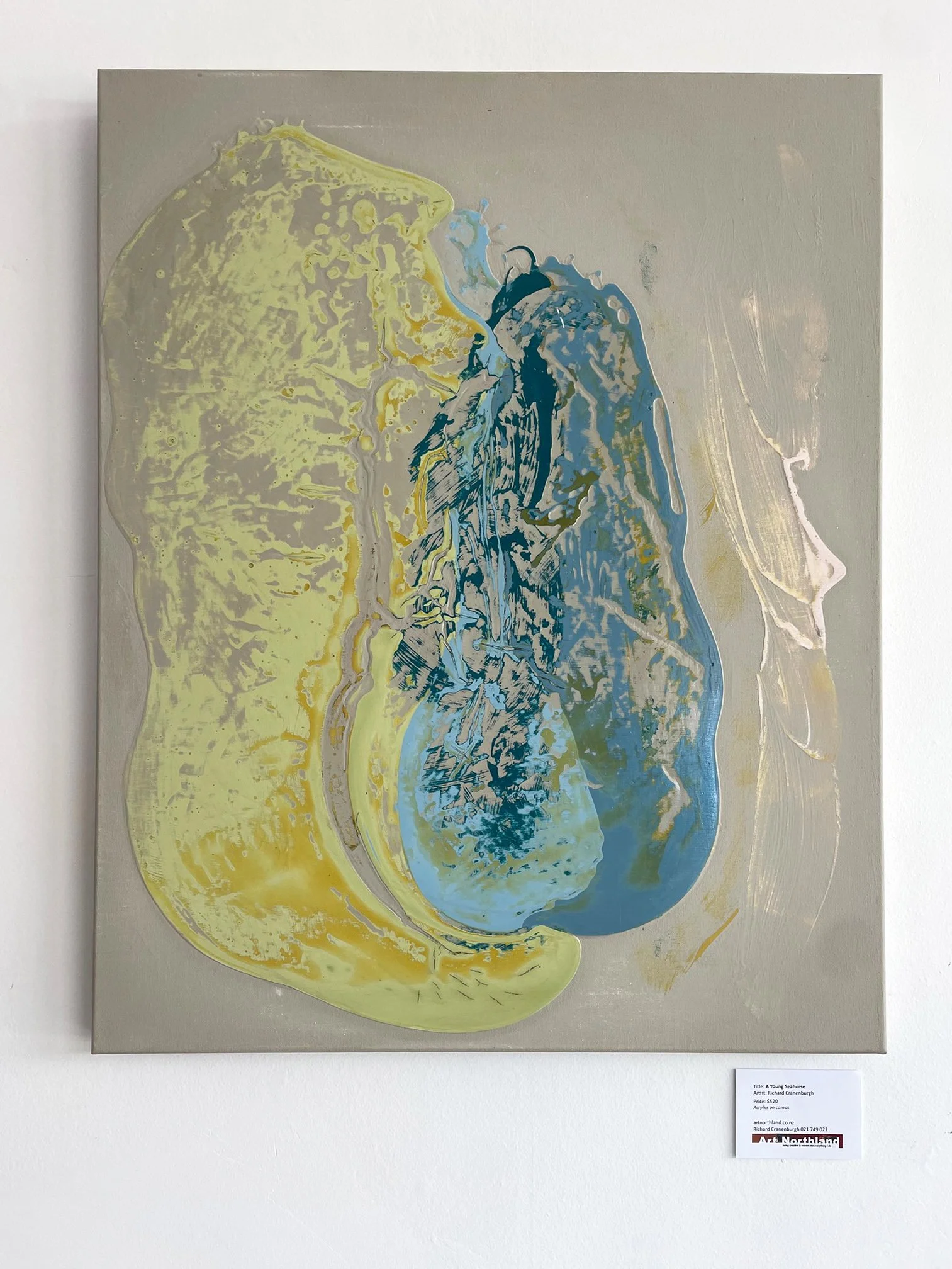 A Young Seahorse , . .