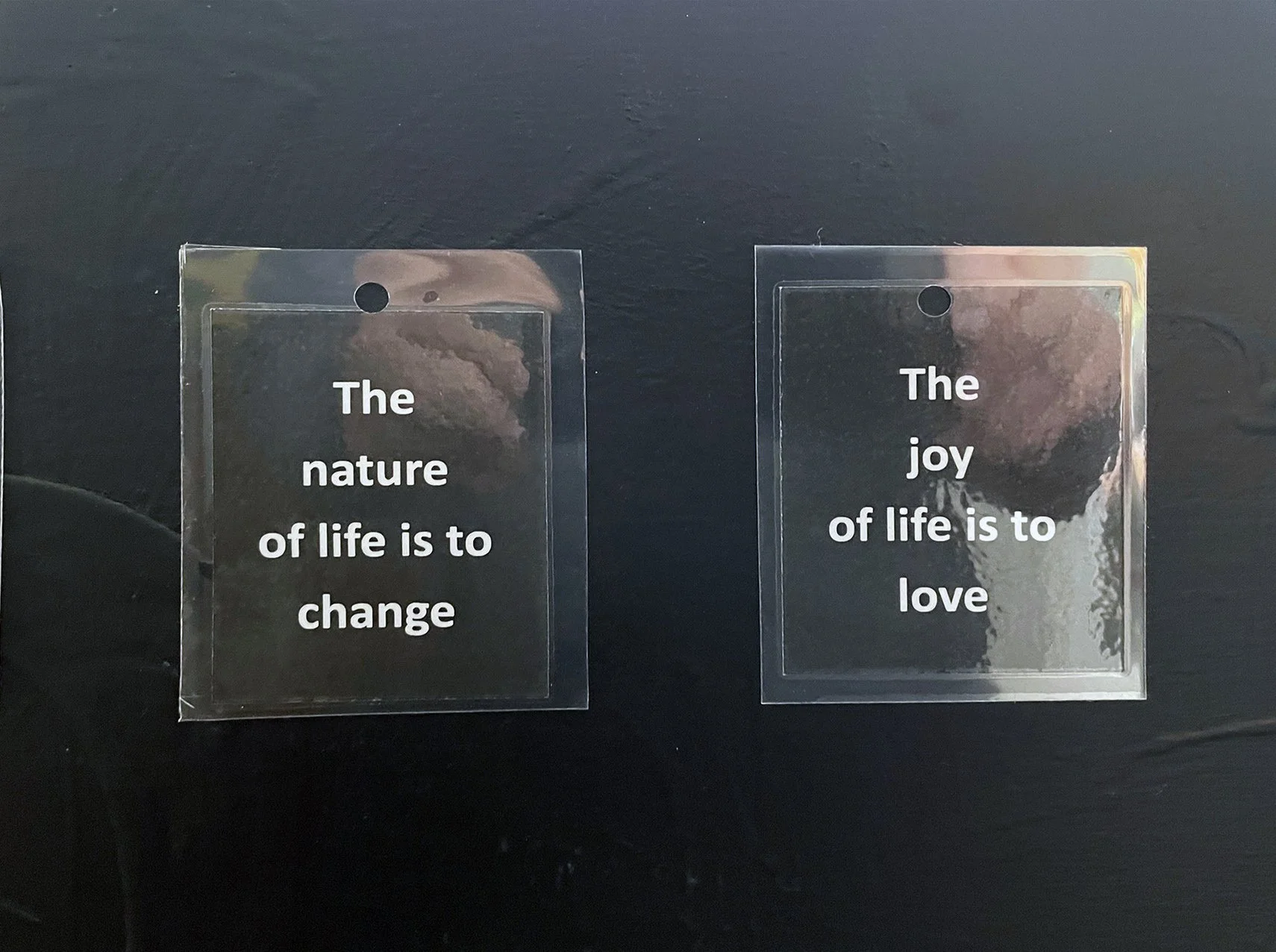 The nature of life.jpg