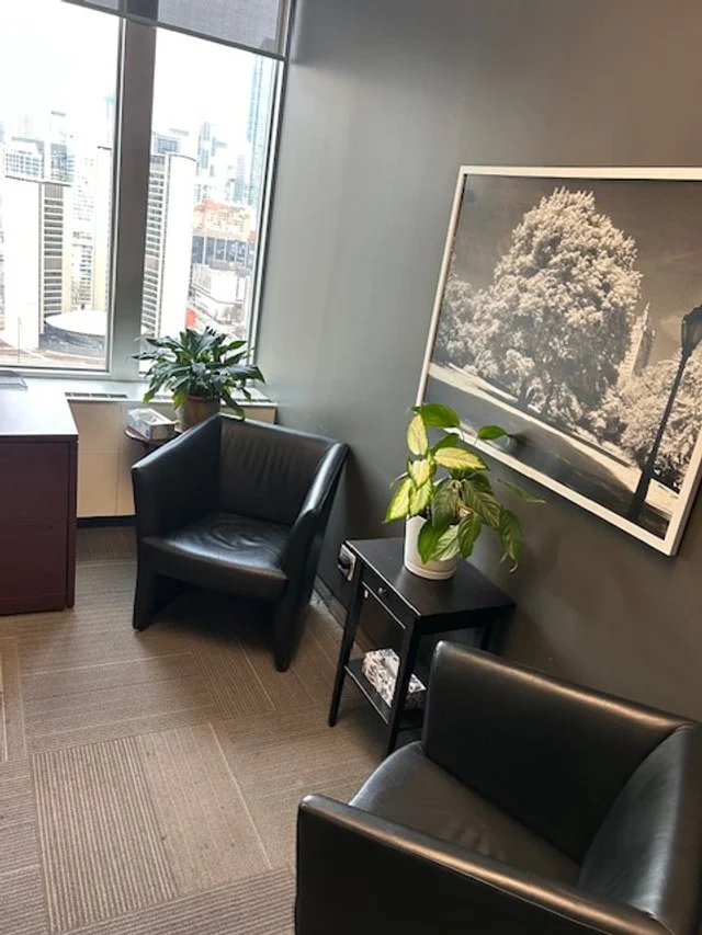 Office corner with two black leather chairs, a small black side table with a houseplant, another houseplant on a window sill, a framed tree photo on the wall, and a city view through the window.