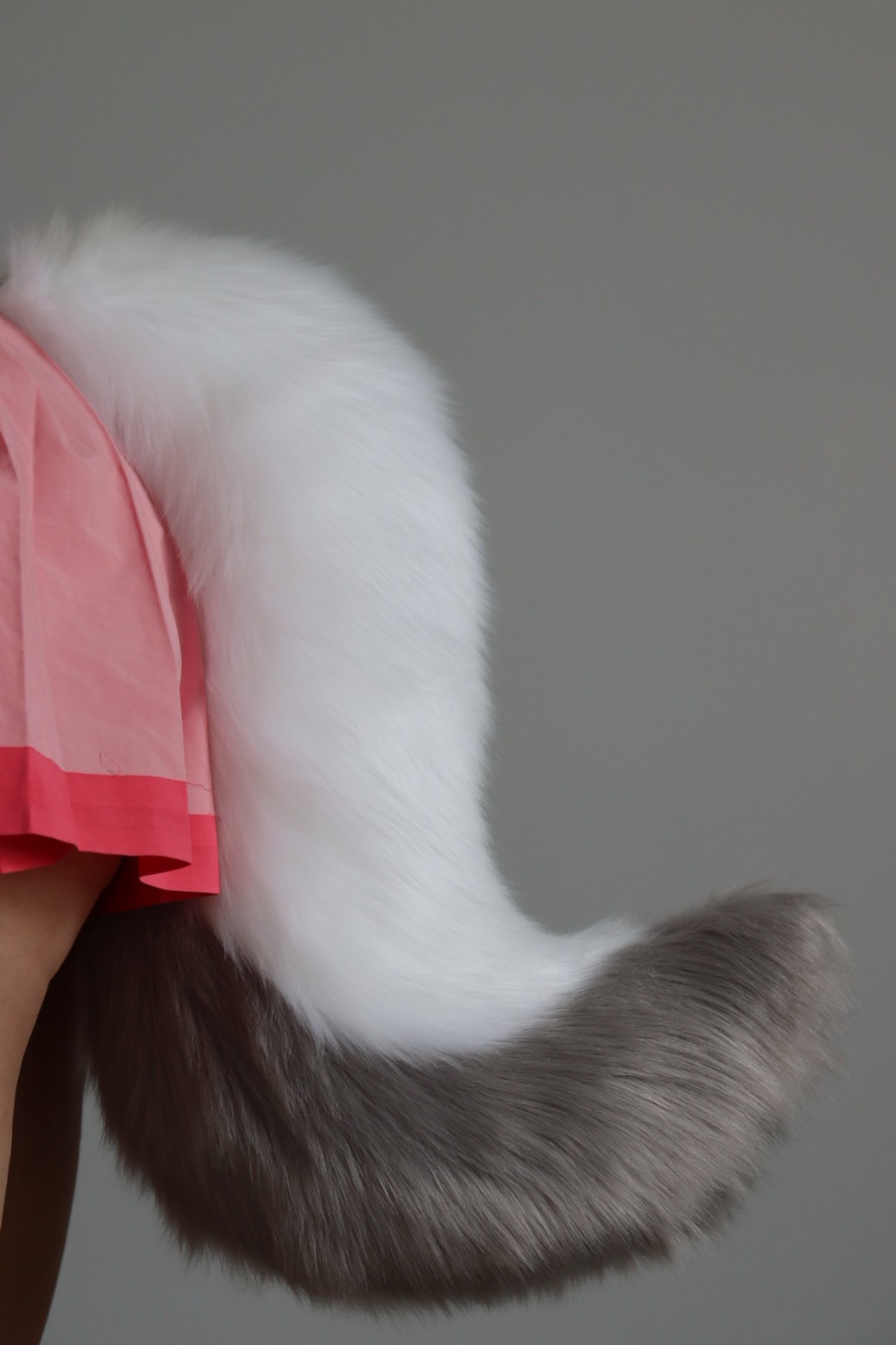 White and Gray Medium Canine Tail