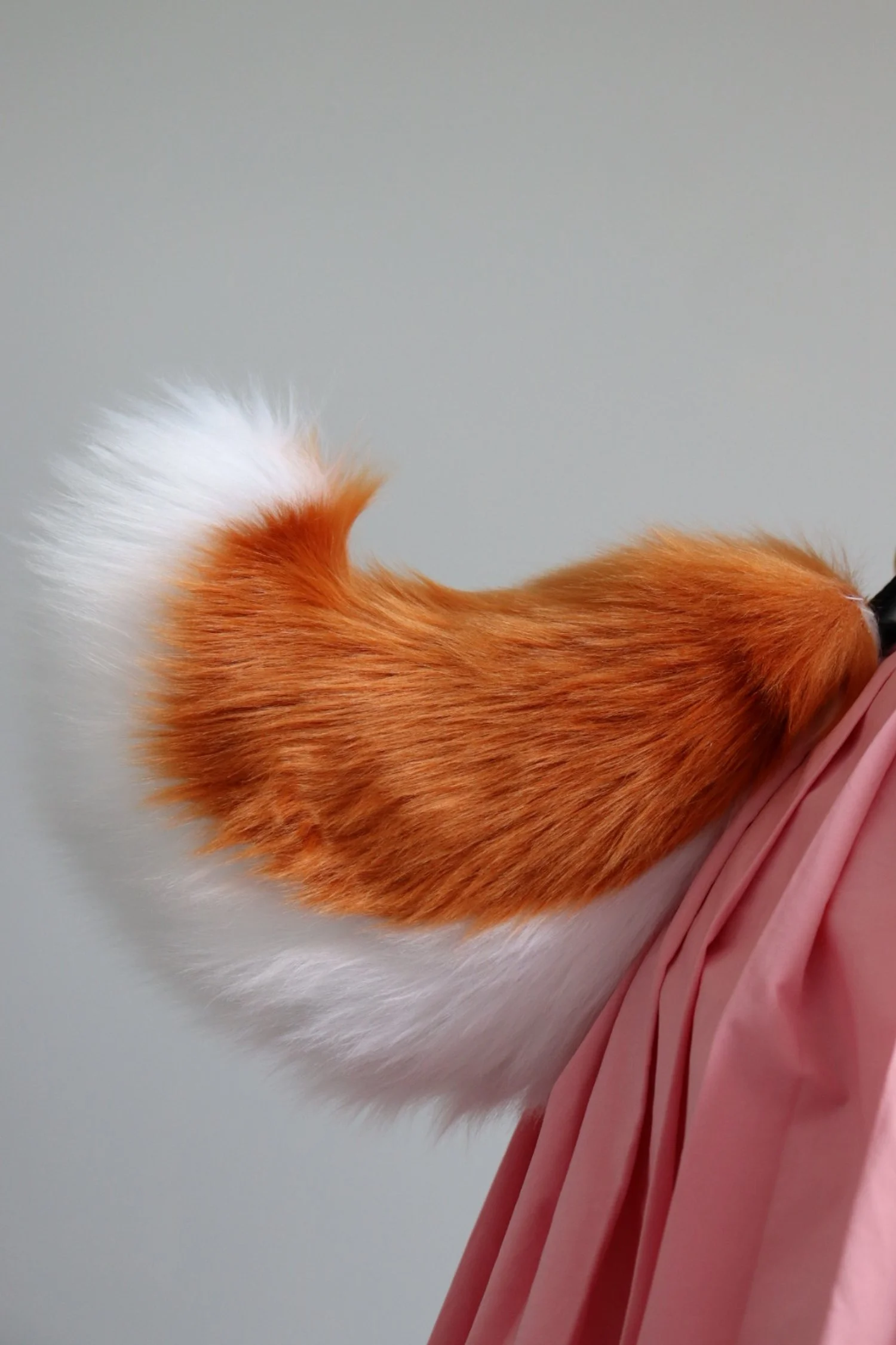 Butterscotch and White Nub Tail