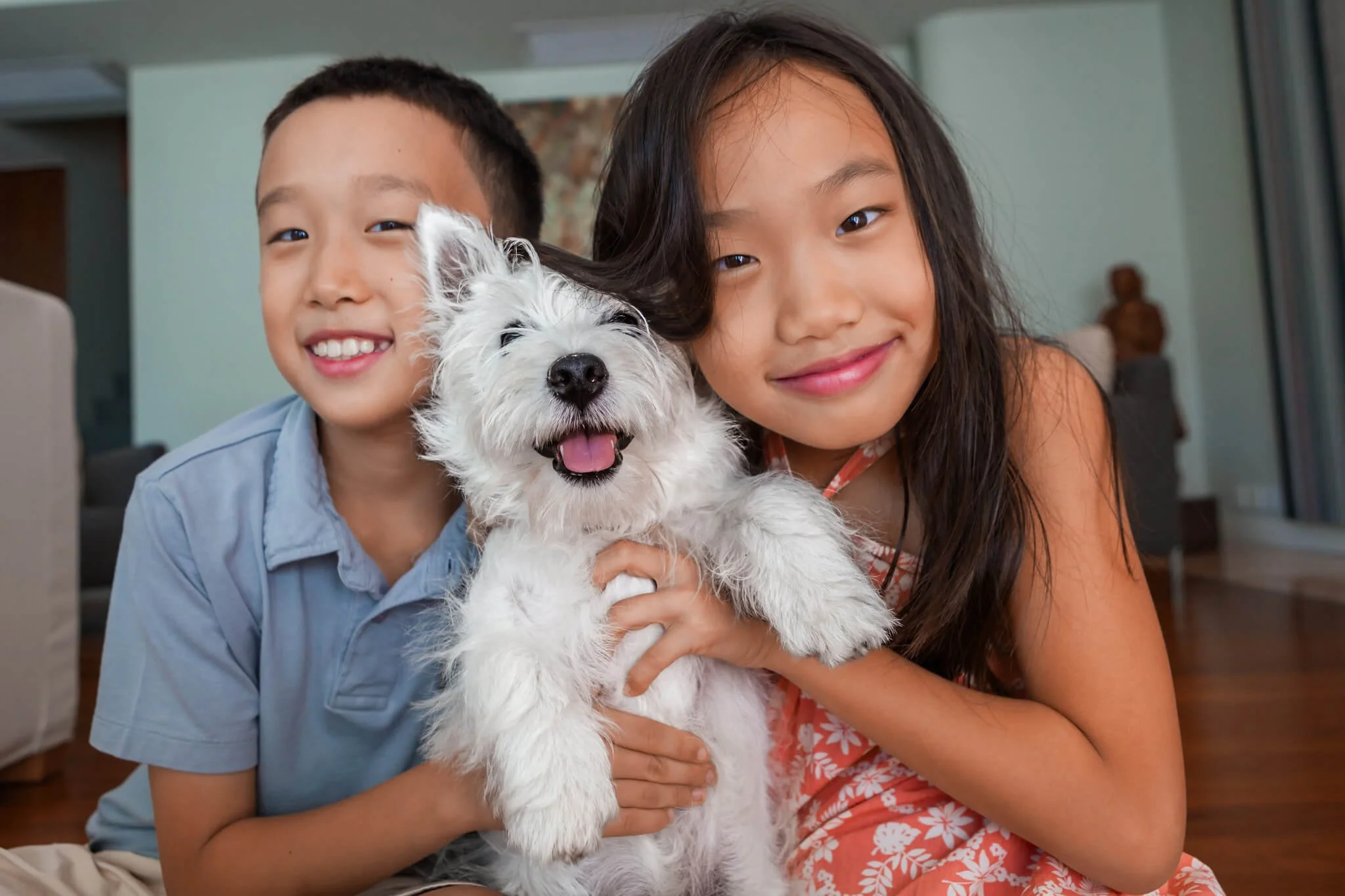 Hong Kong Pet Photographer