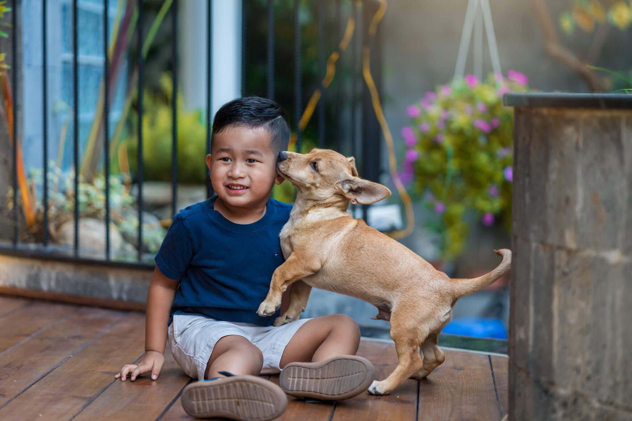 Boy and his puppy during a Hong Kong pet and family photoshoot