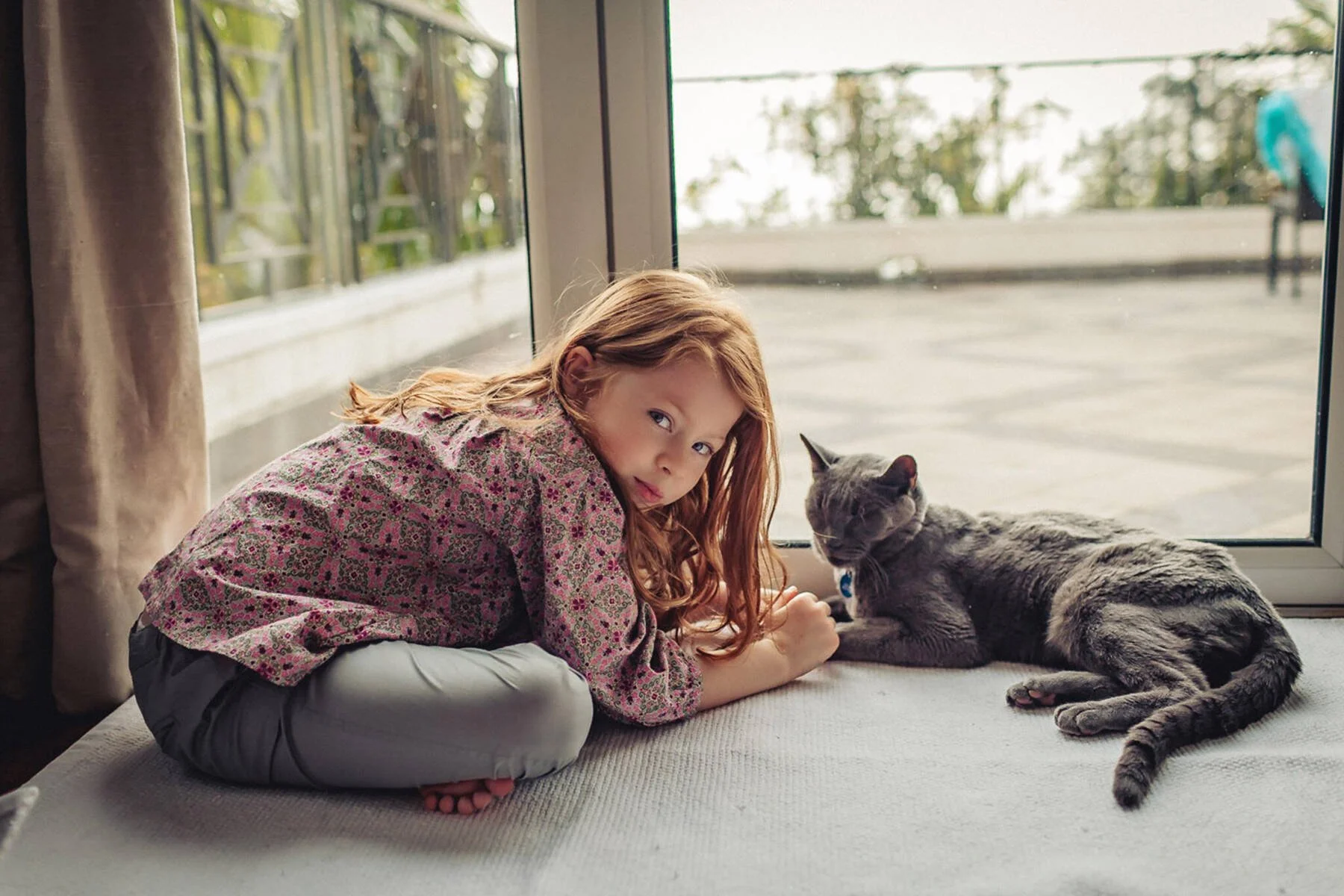 At home pet photography The Peak Hong Kong
