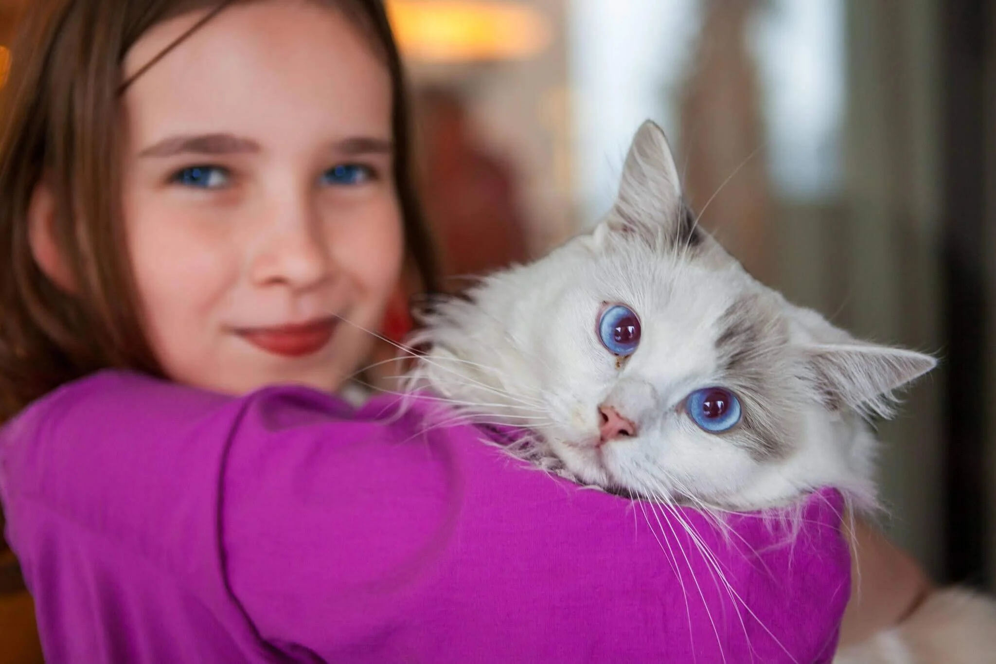 Hong Kong cat with its human owner, pet photographer Ian Taylor