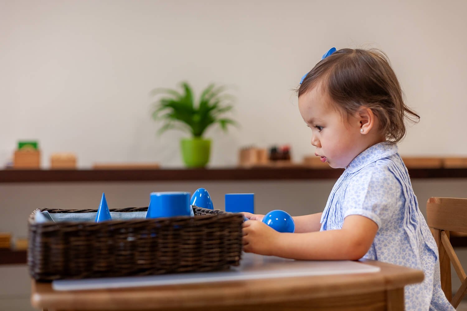 A sun-drenched Montessori preschool environment in Hong Kong showing independent work cycles and natural wood learning materials.