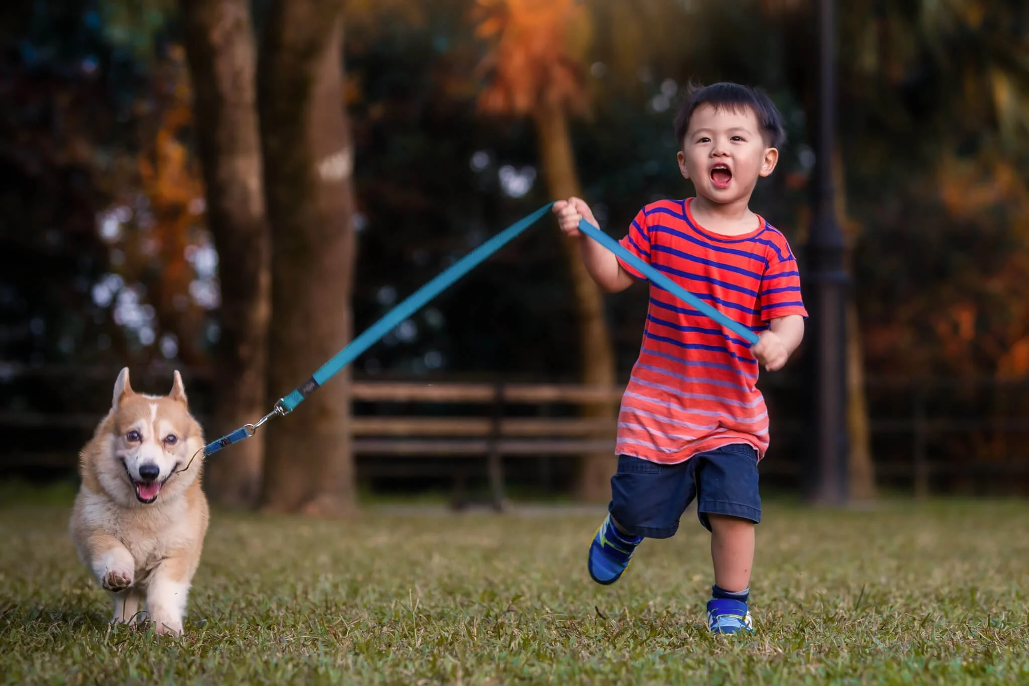 Boy with his dog at Victoria Peak Garden, Hong Kong