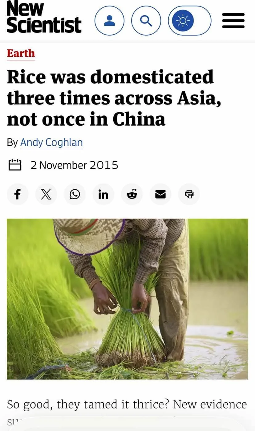 Rice was domesticated three times across Asia, the New Scientist
