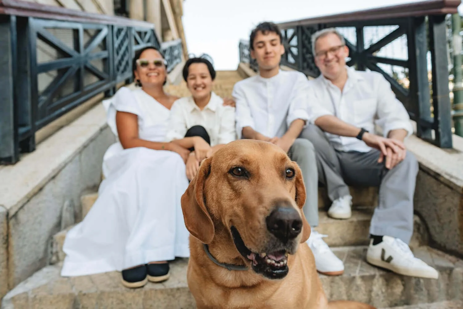 stanley-Hong-Kong-pet-photography.jpg