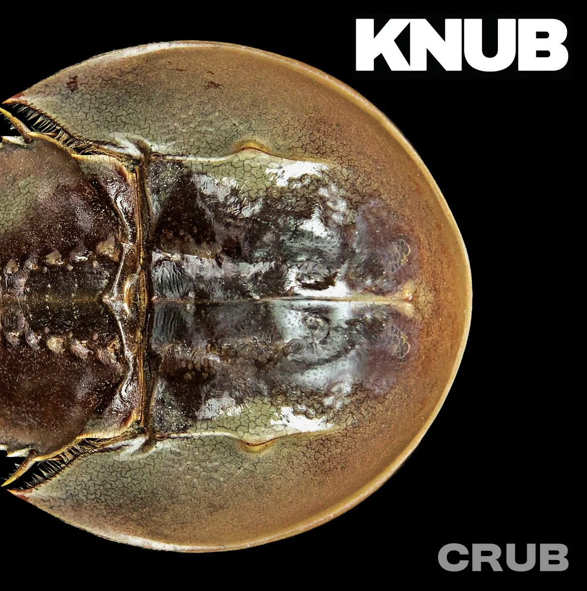  KNUB  CRUB  Producer: Justin Day
  
 DIGITAL & VINYL 