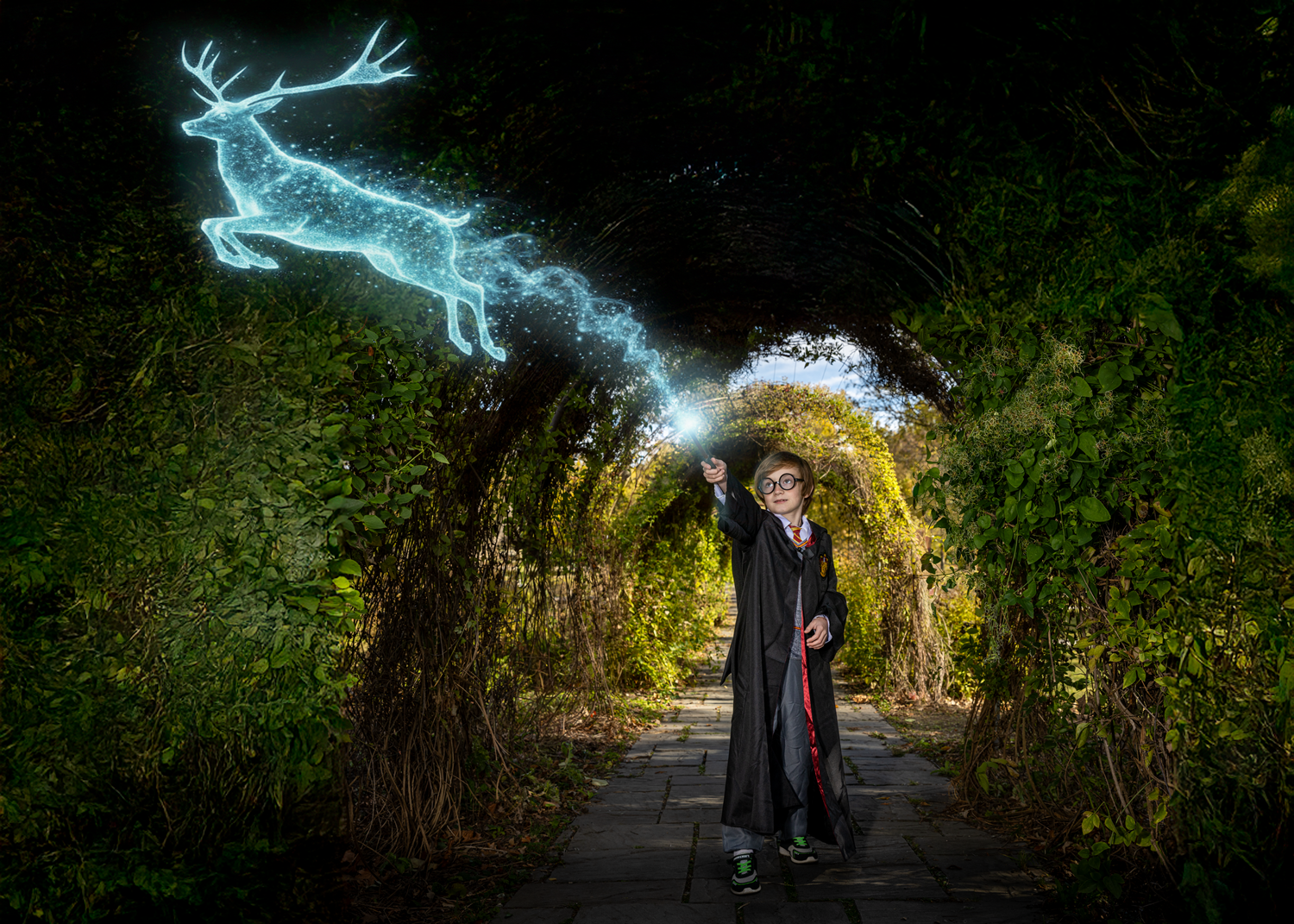 Stag patronus 20.png