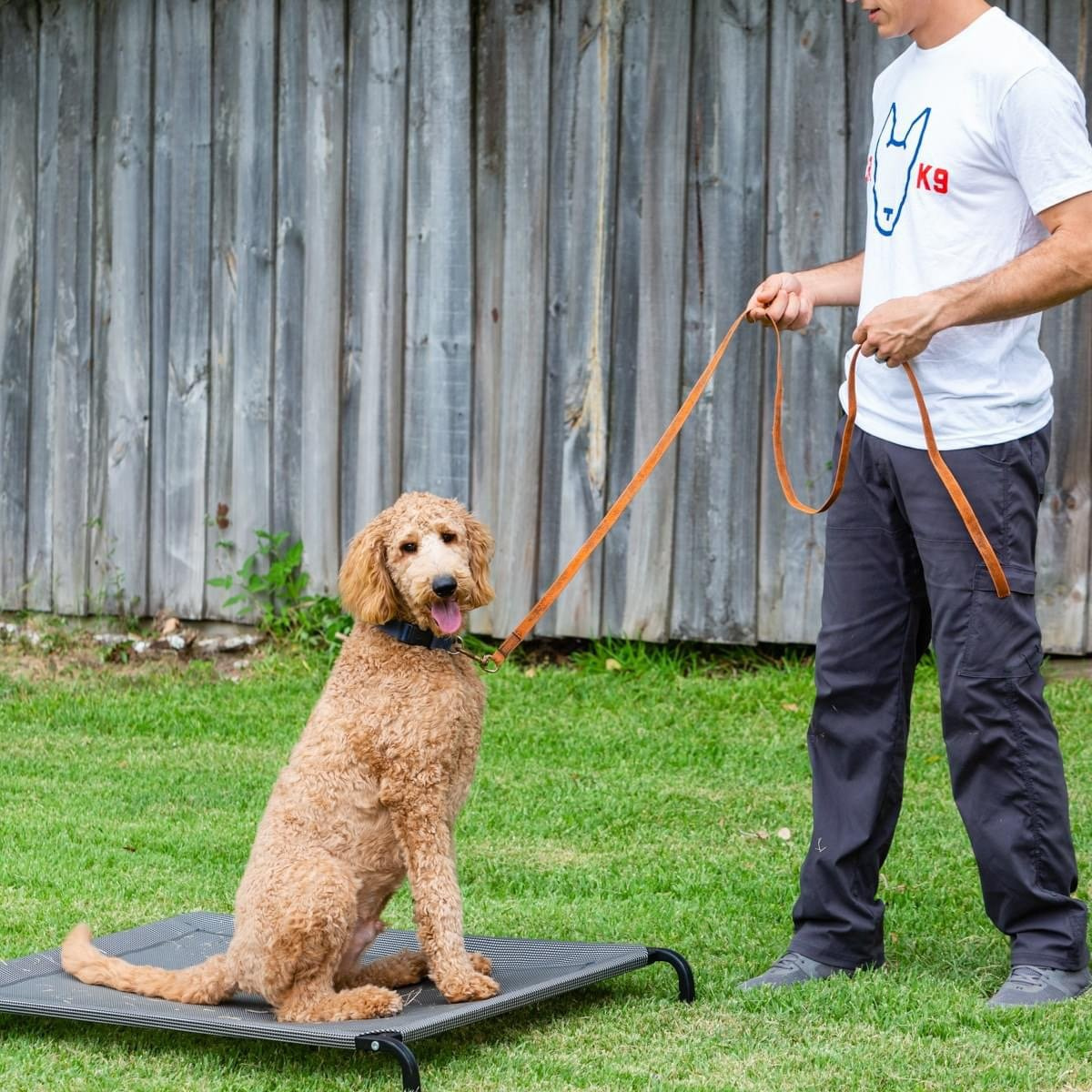 How Professional Dog Training Benefits Dog Owners