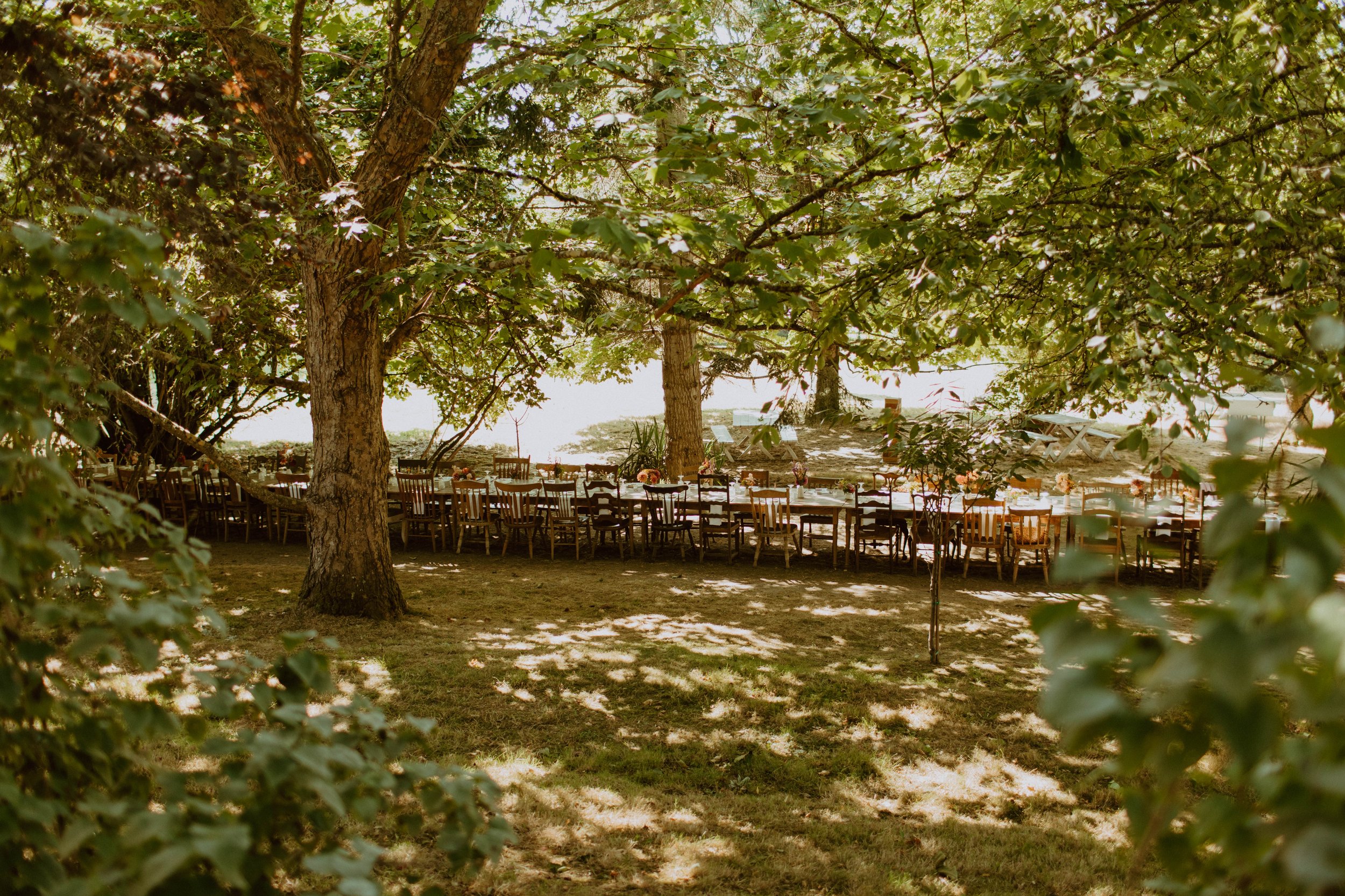 Whidbey Island_ WA _ Micro Wedding Elopement Photography _ Backcountry Bohemians-45.jpg