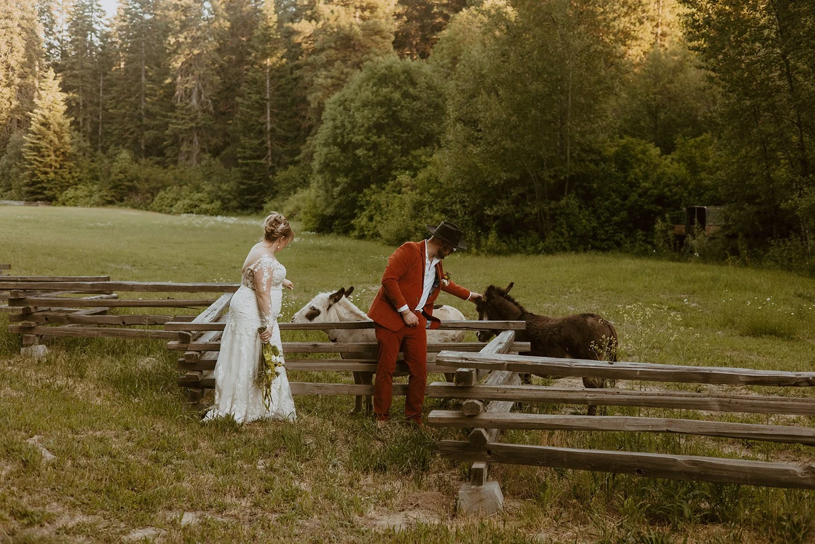 Bride and groom pet donkey's in Leavenworth