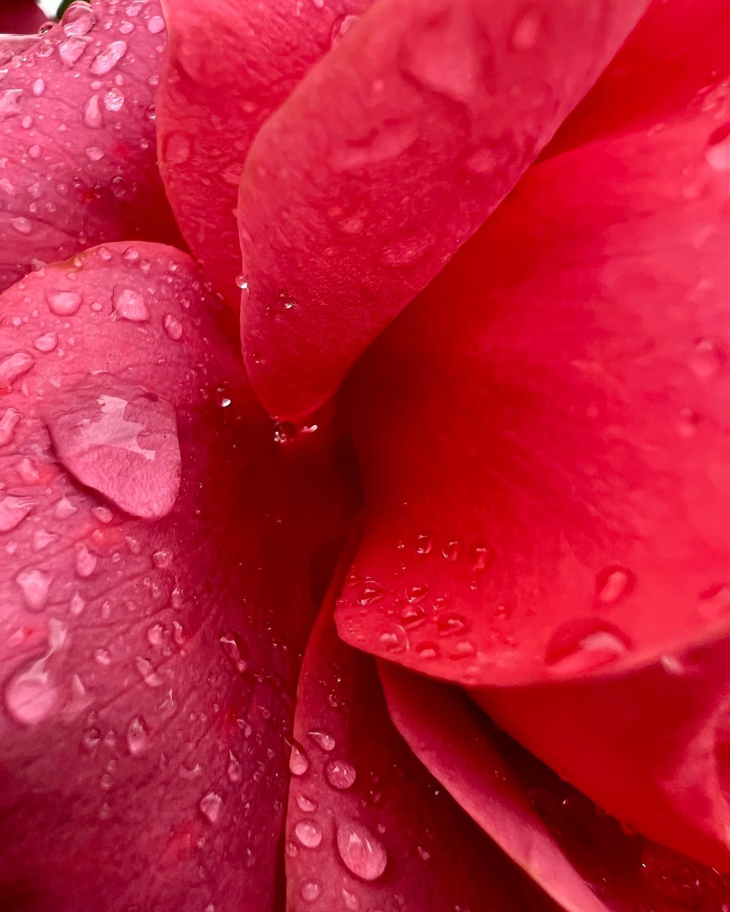 Falling Tears