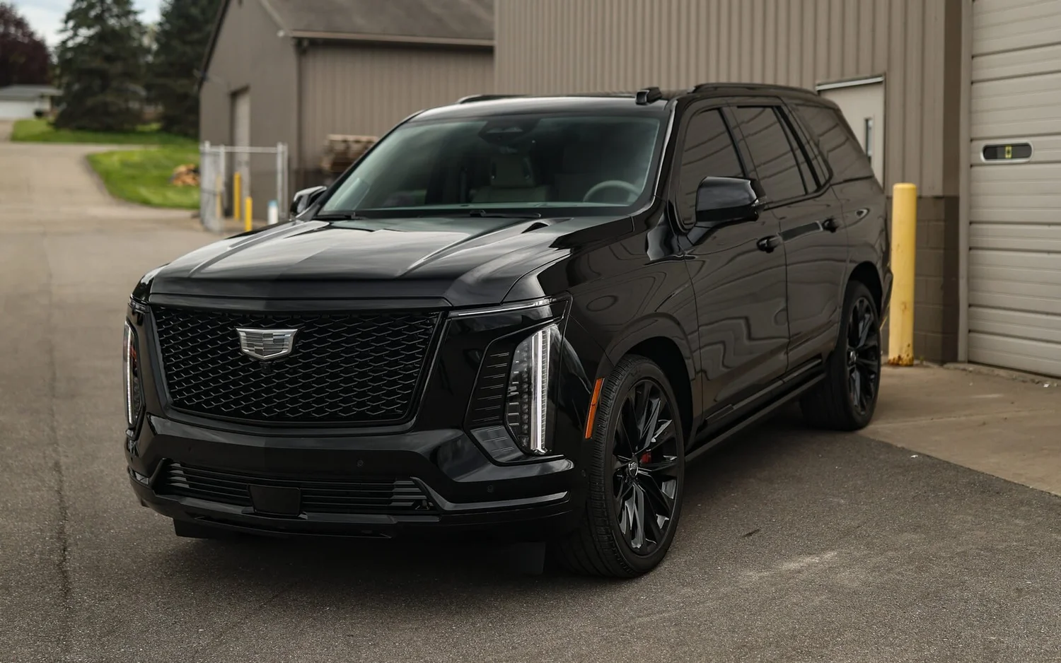 Tinted versus untinted comparison