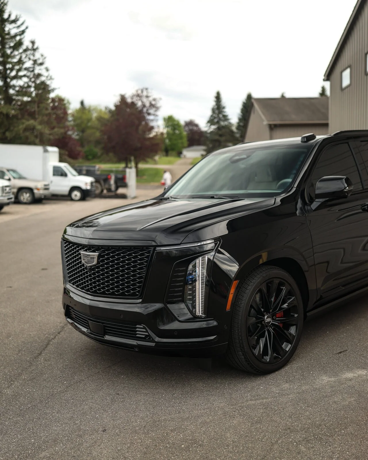 Blacked-out Escalade protected at Ascension Automotive
