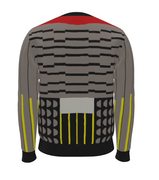 Northern Flicker Sweater Back