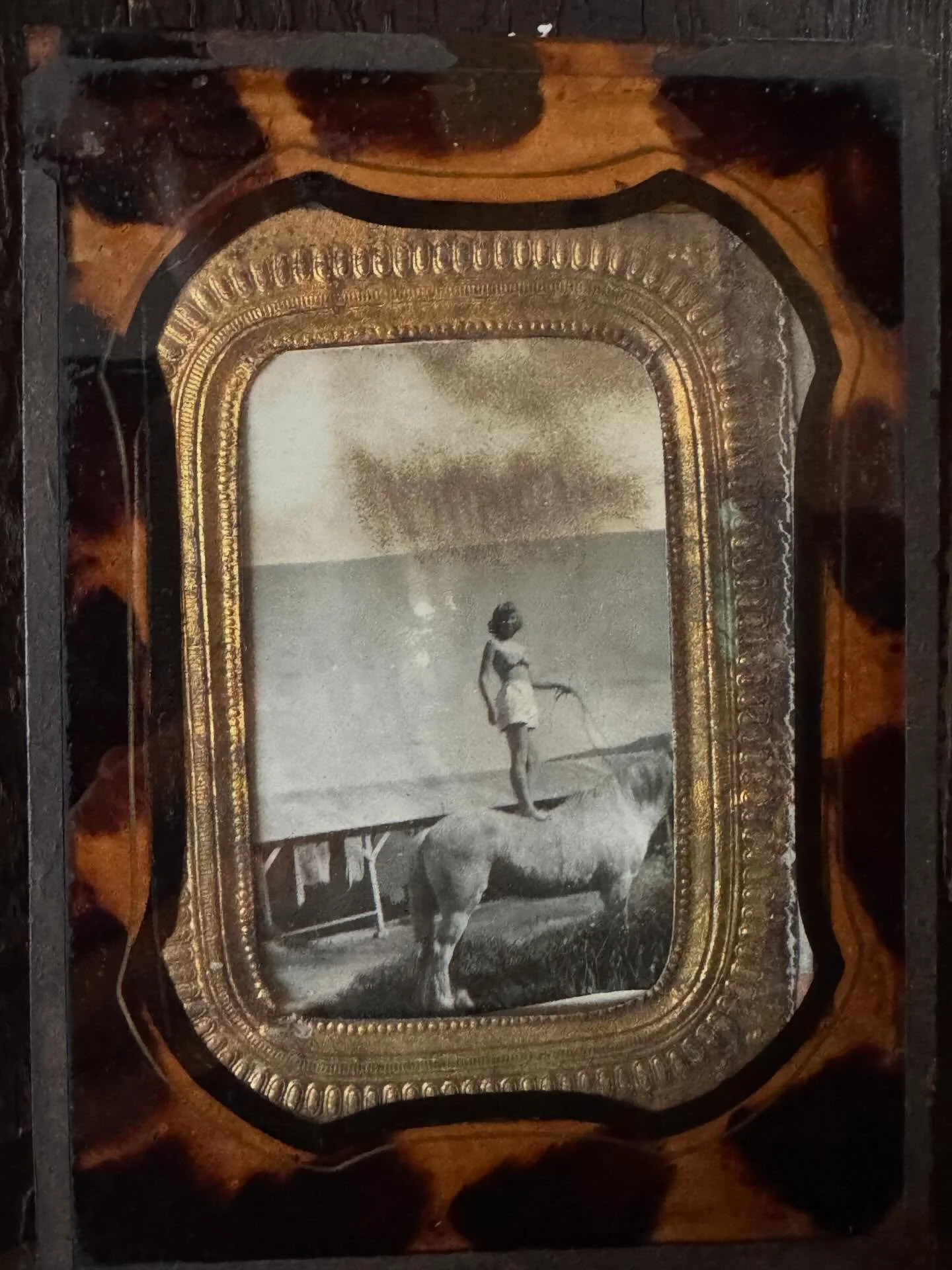 My mother and her horse. #nikiwadlington #wallpaper #wallcoverings  #interiors #art