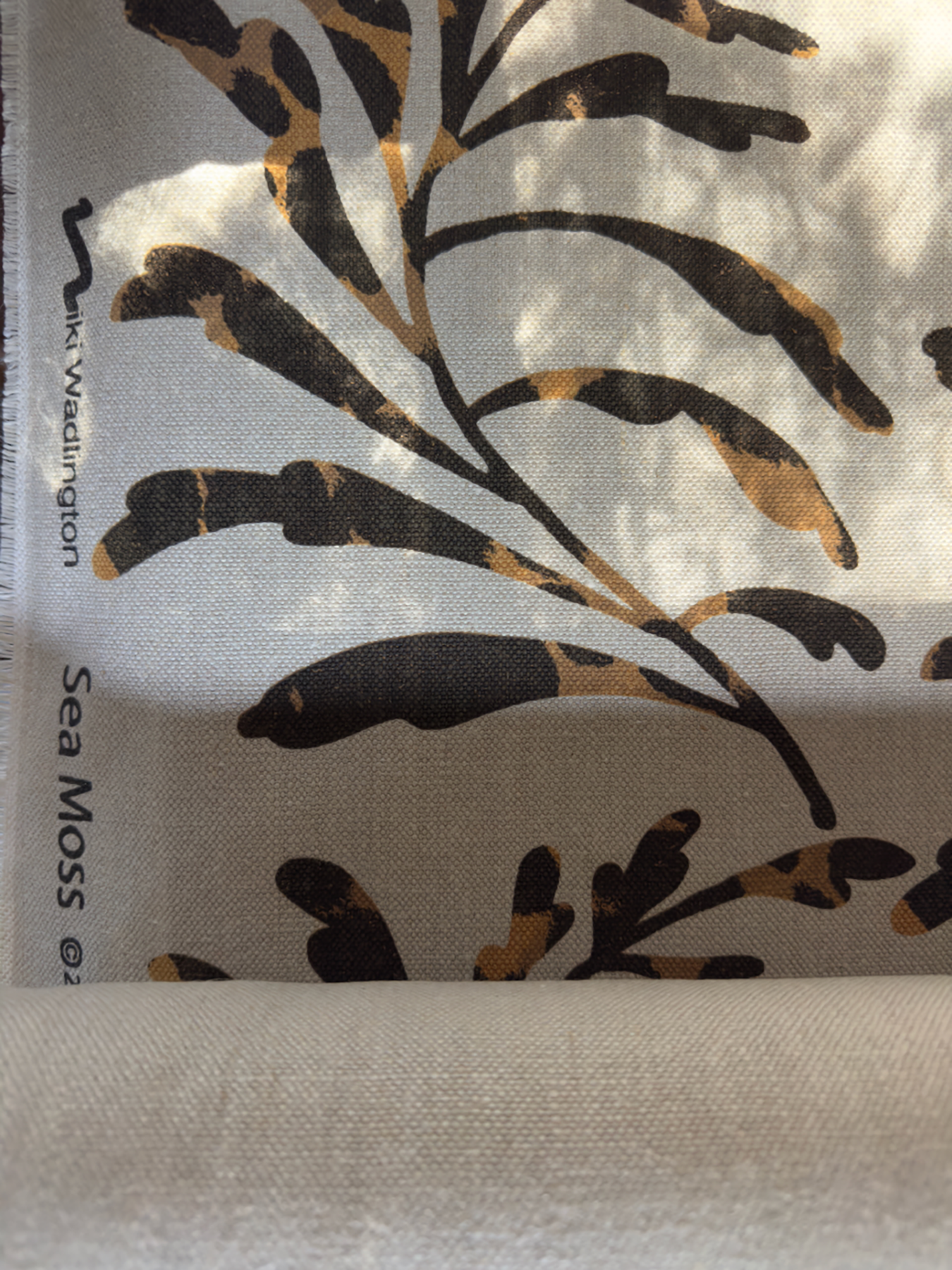 Sea Moss Textile 2.png