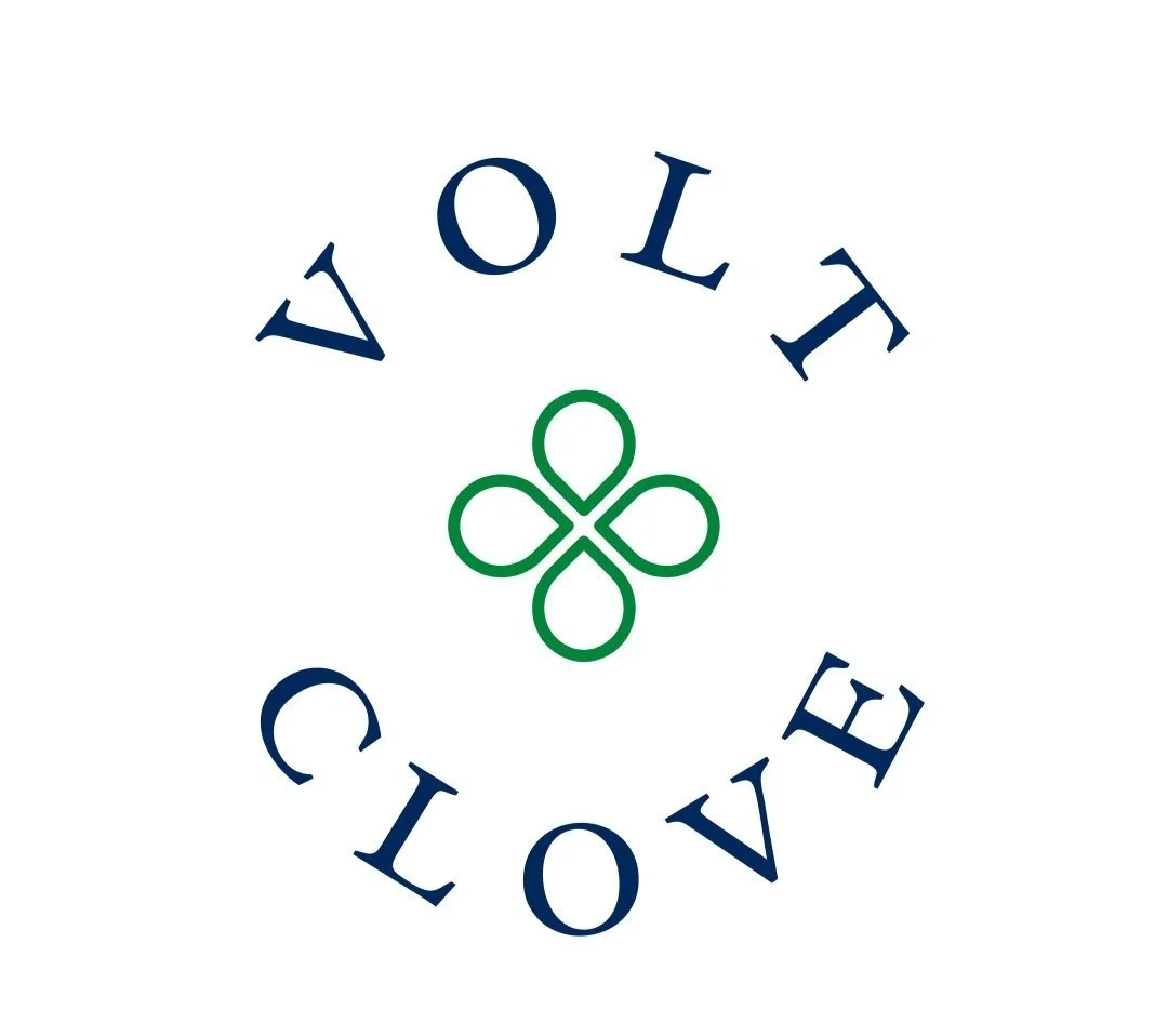 Digital Marketing Solutions | Volt \u0026 Clove | Boost Your Online Presence\, image size:1080x958