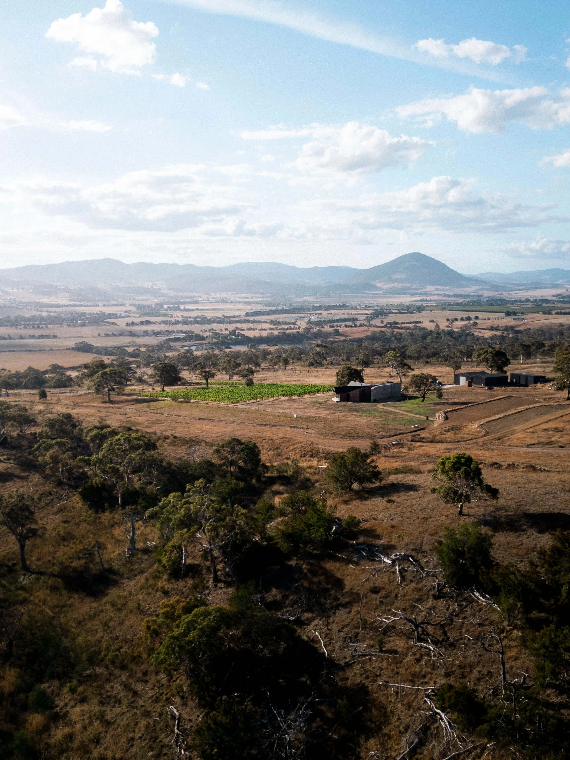 a view of an estate