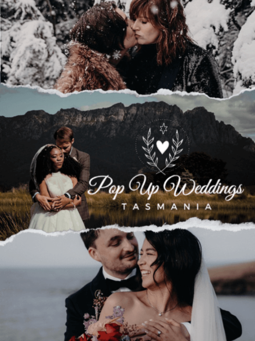 3 couples on banner in various tasmanian locations