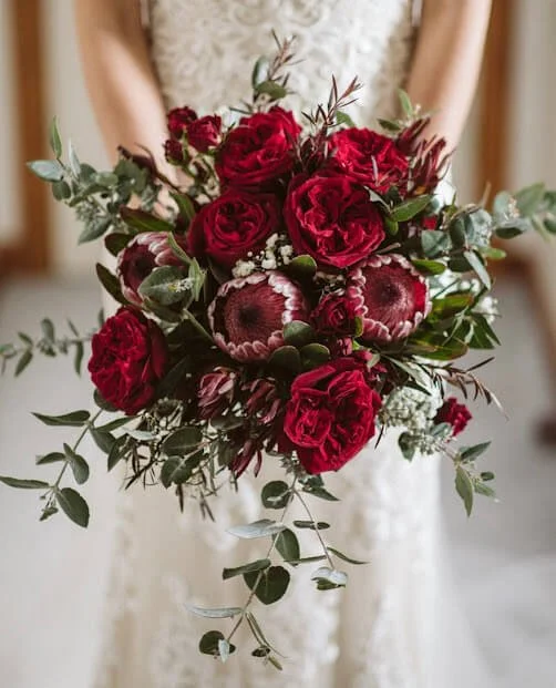 Deep red rose and protea bridal bouquet with trailing eucalyptus by My Florist, Launceston