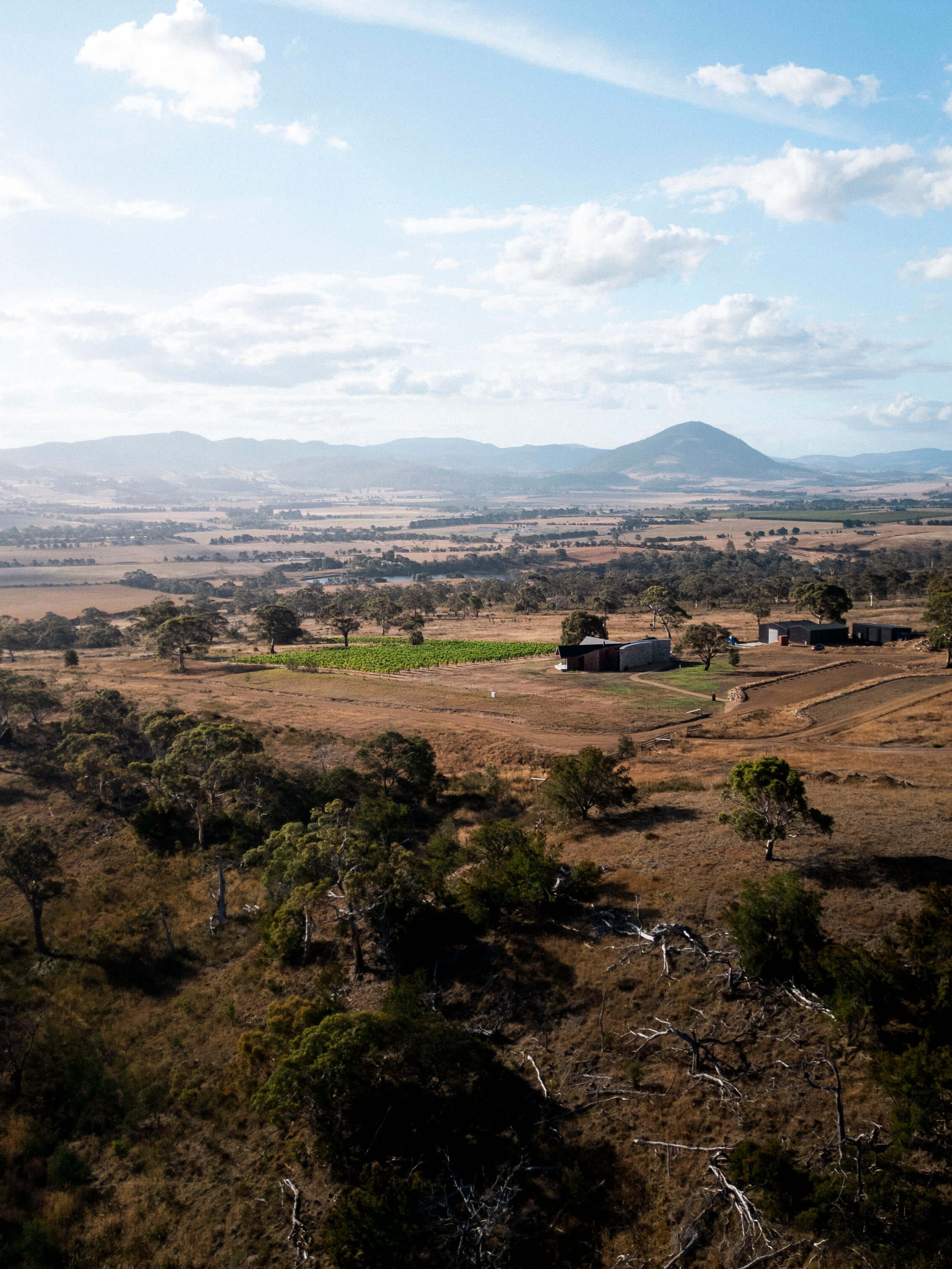a view of an estate