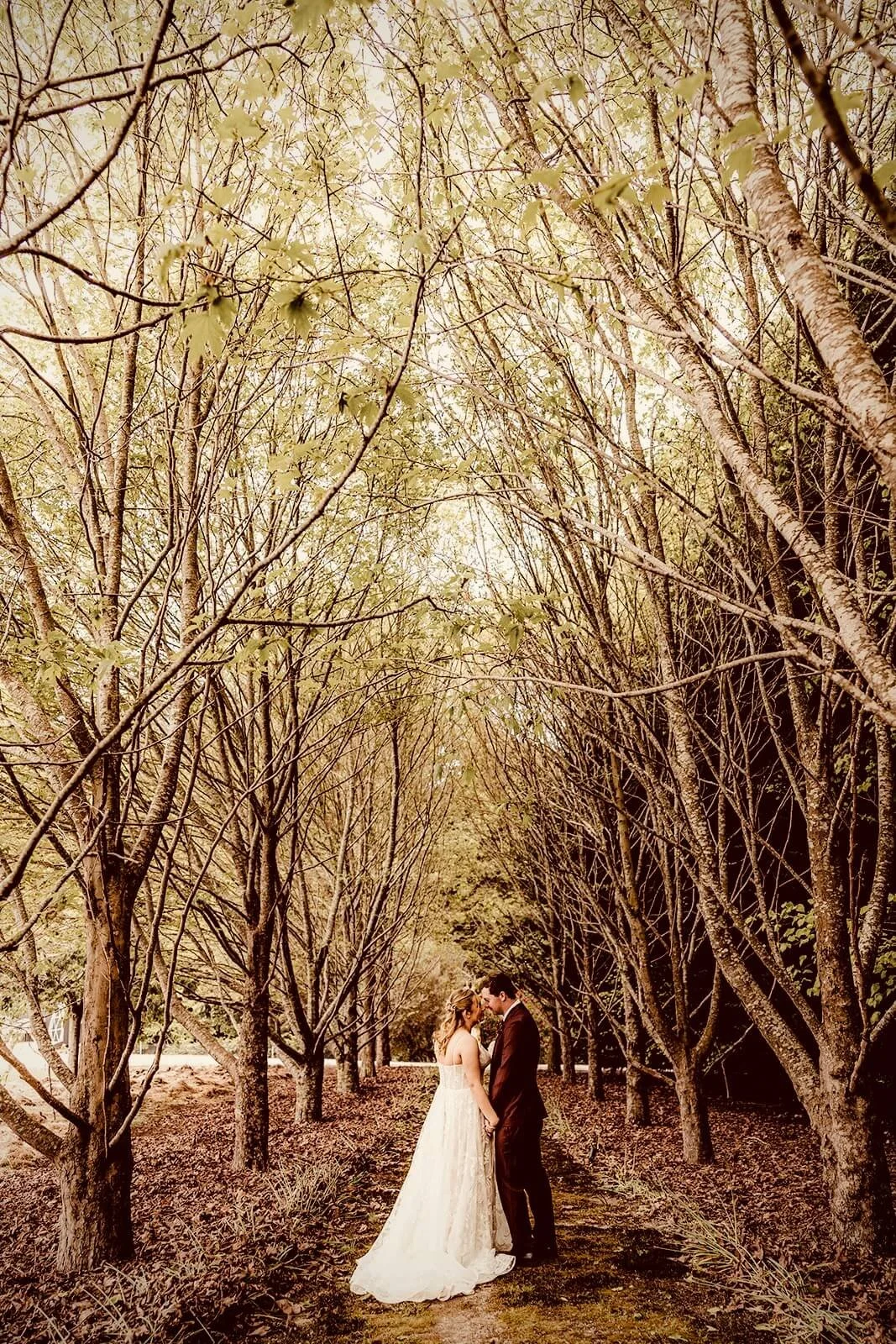 a wedding couple in the middle of nature under the trees