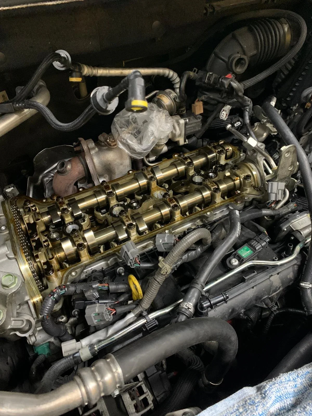 WhatsApp Image 2024-06-25 at 3.53.55 PM.jpeg