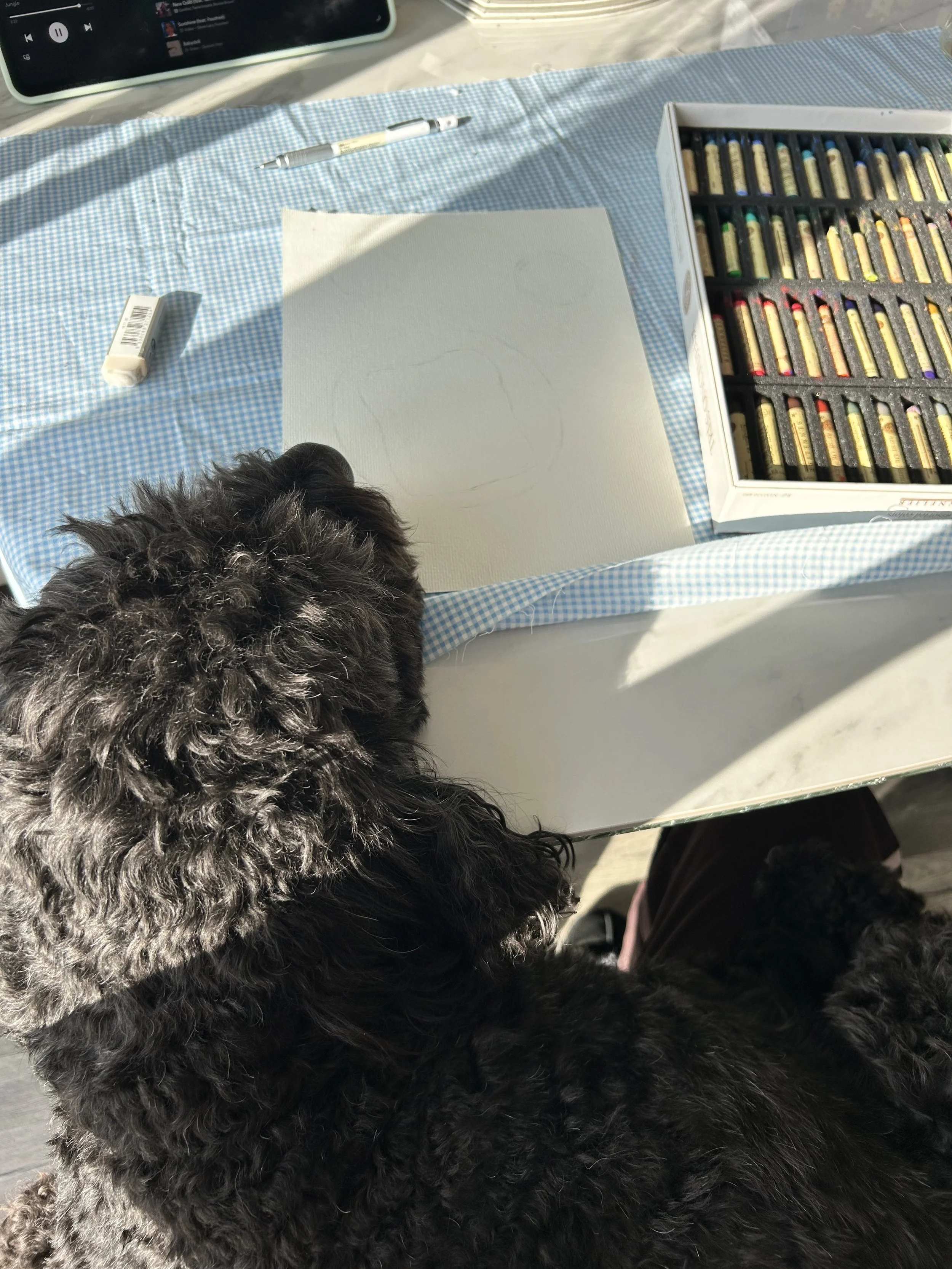 A black curly-haired dog looking at a drawing pad on a table covered with a blue checkered tablecloth. Art supplies including pastel chalks in a box, a paint tube, and a pen are on the table, with a smartphone in the background.