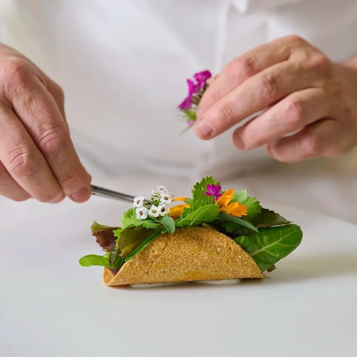 Veuve Clicquot -  Garden Gastronomy Daniele Sera