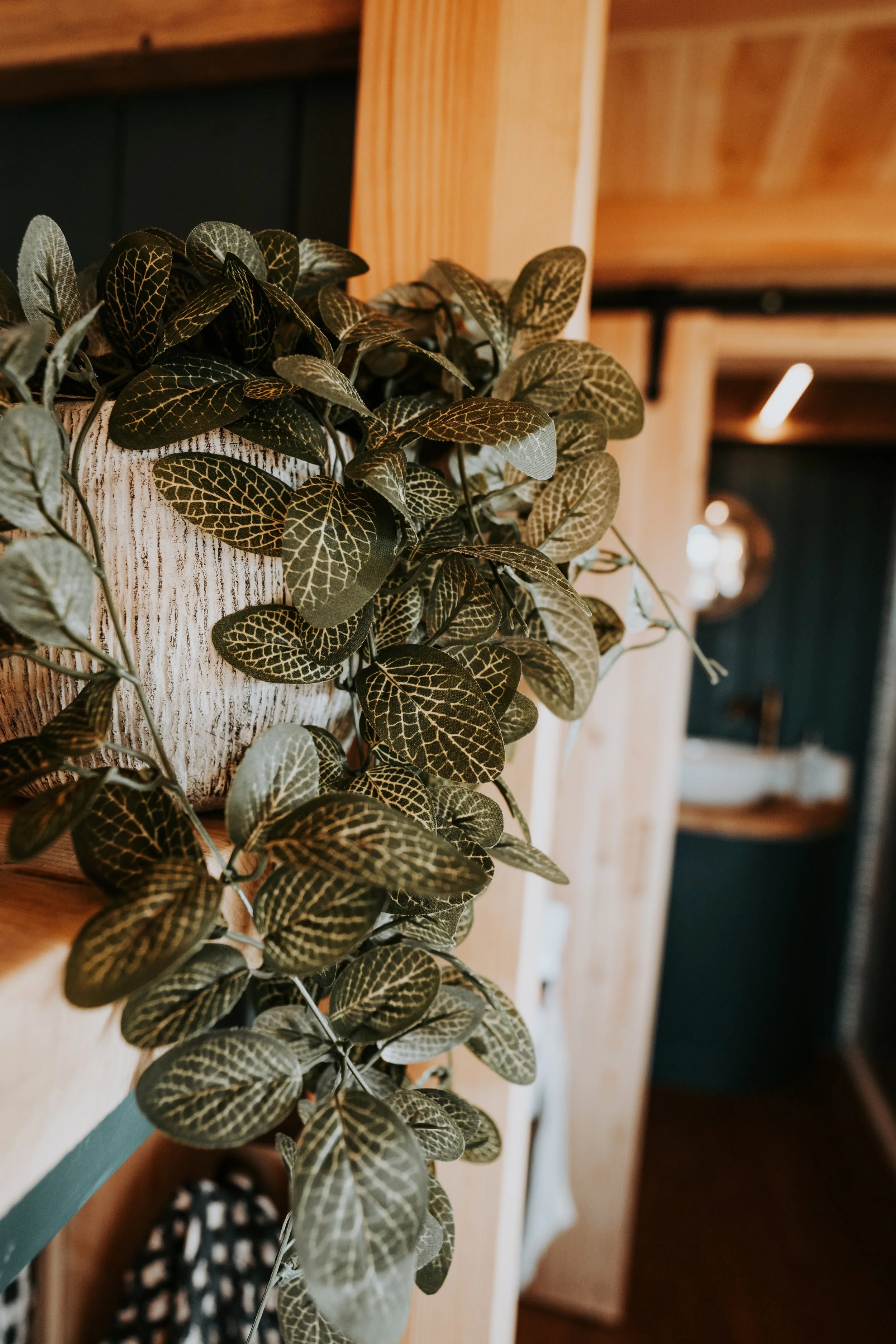 Twt_Tiny_Homes-057.jpg