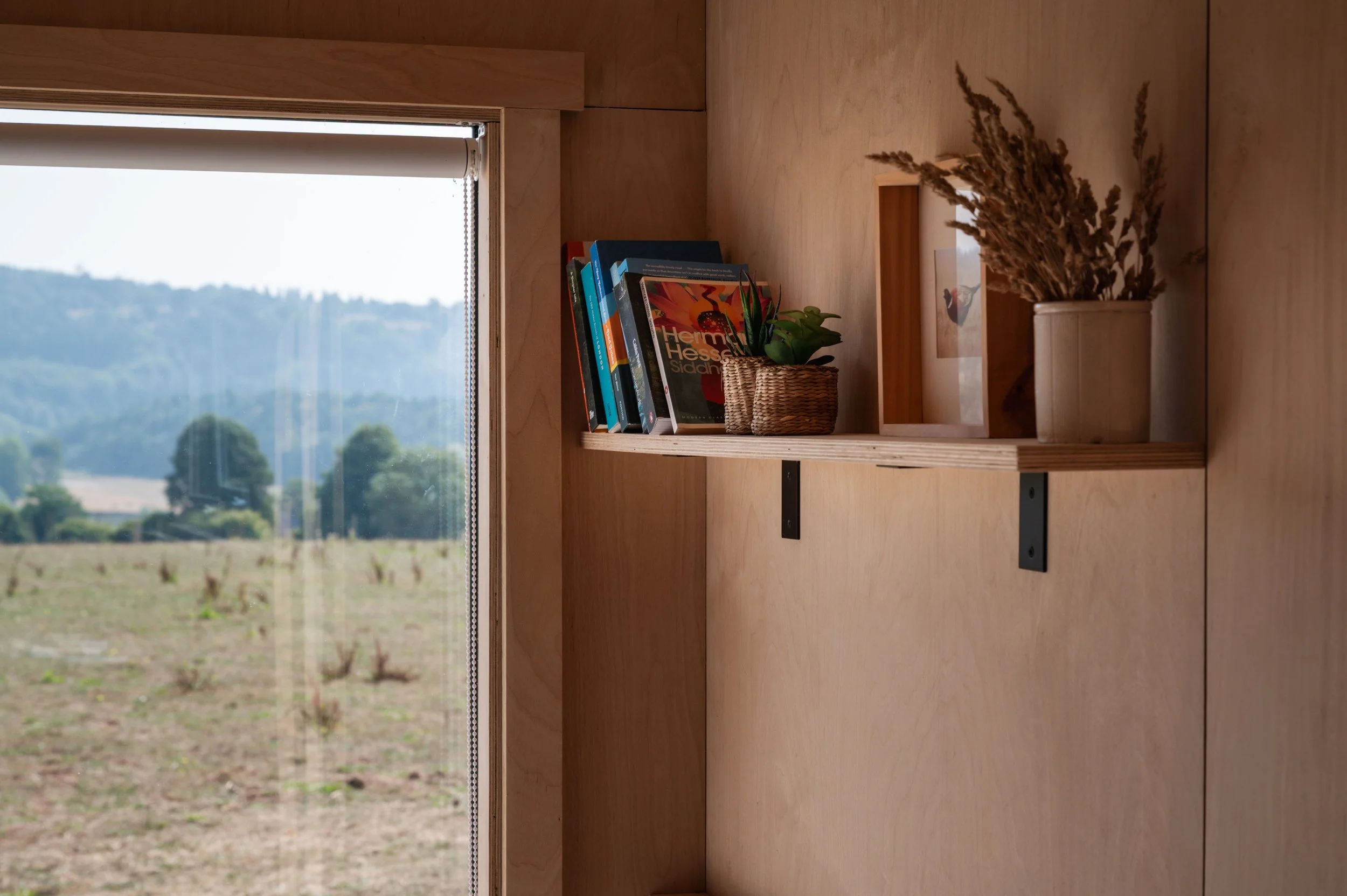 Tiny home interior with plywood walls, floating shelf for books and plants, and a scenic countryside view through a large window — modern off-grid cabin design.