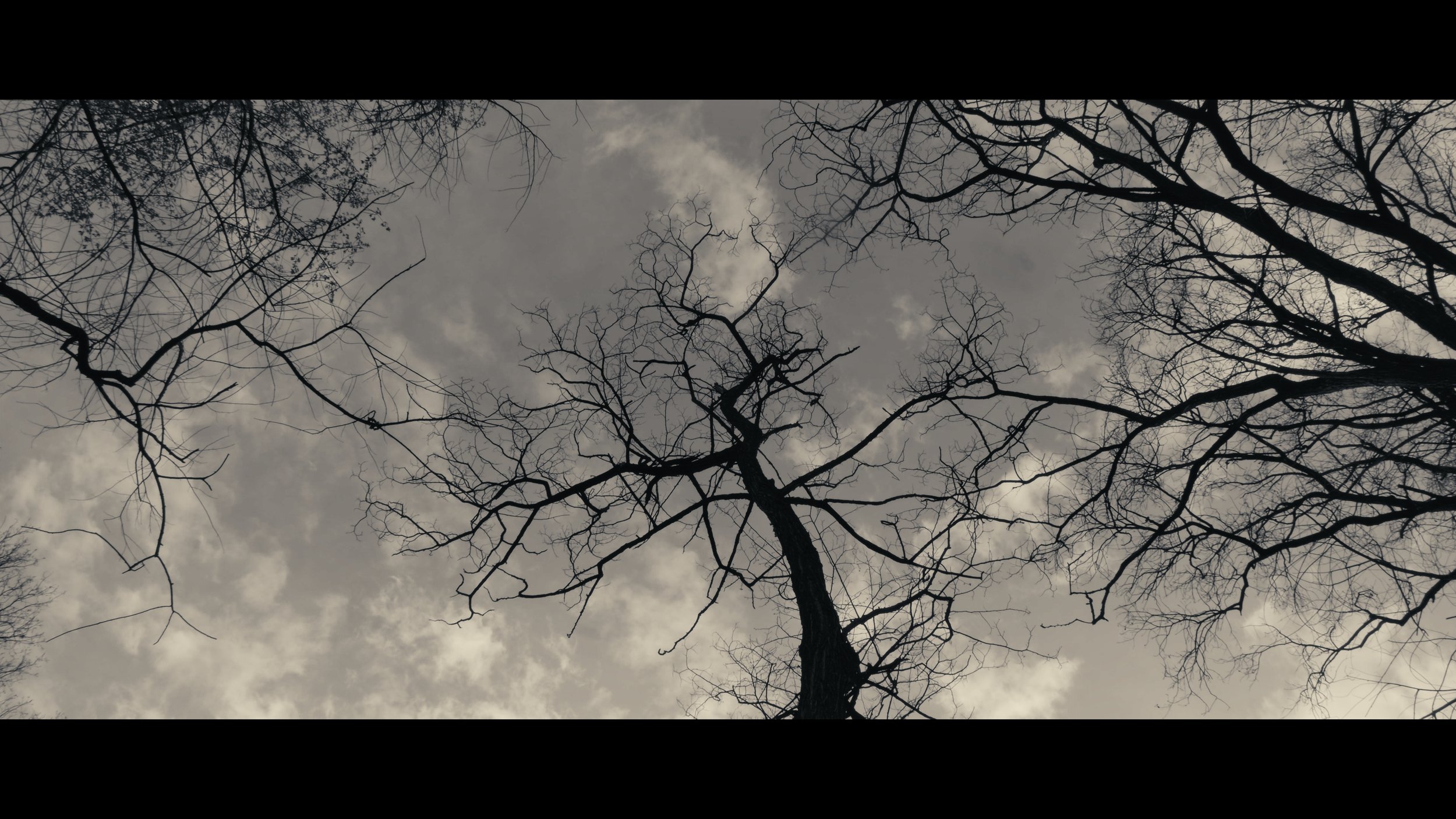 Untitled_2.18.1.jpg