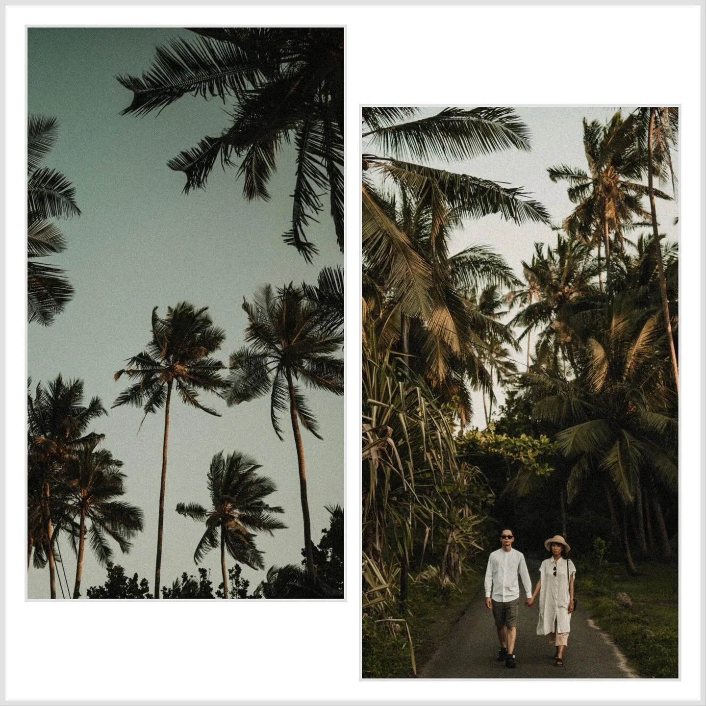 In the vast expanse of life&rsquo;s shore, love gleams as the treasure we seek, hidden in plain sight, akin to precious seashells adorning the beach