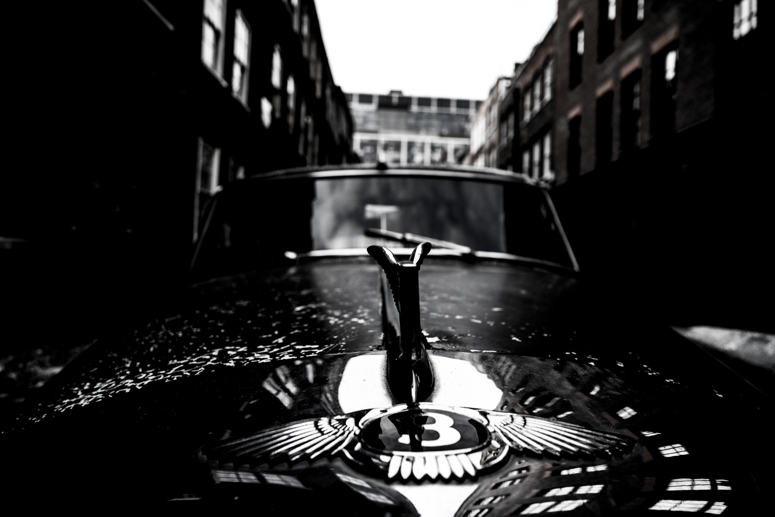 B&W Bentley. A winged B rises from the grit of the city. Defiant, worn, and unmistakably Bentley.
