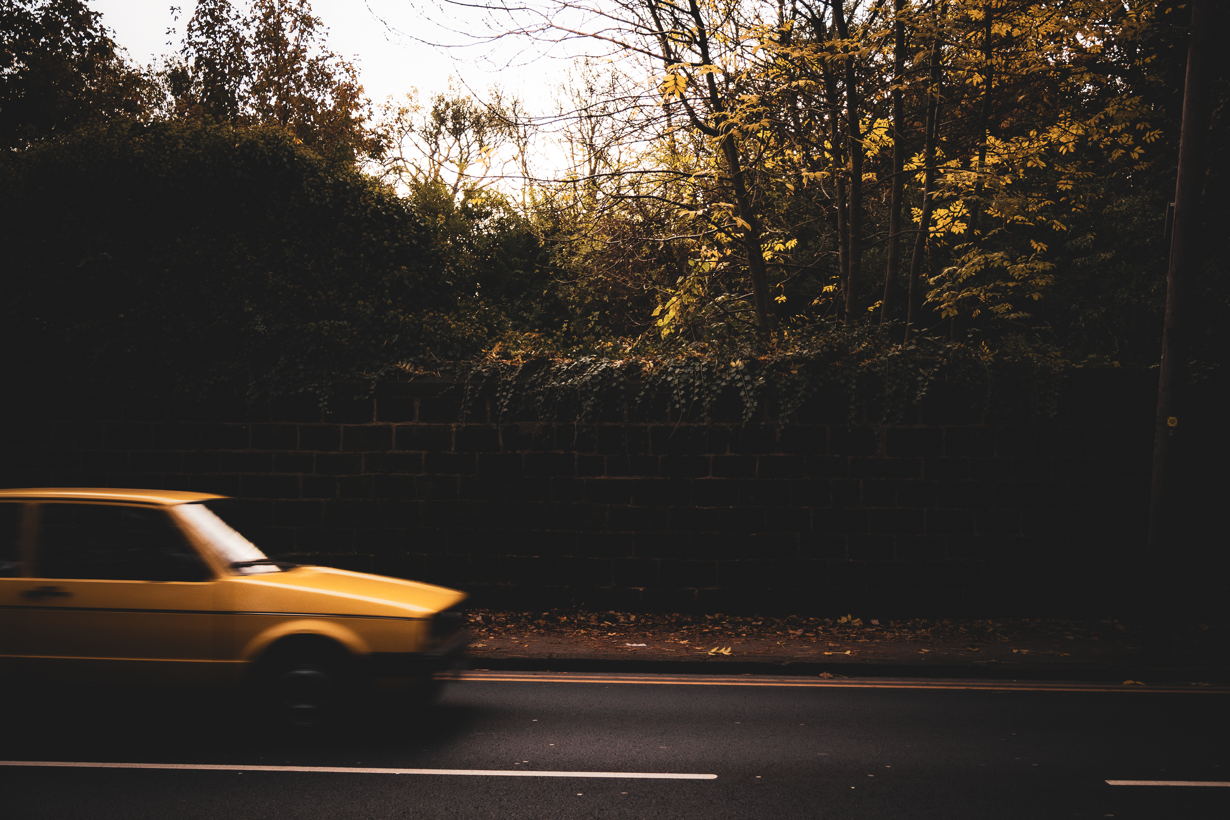 Autumn Drive.png