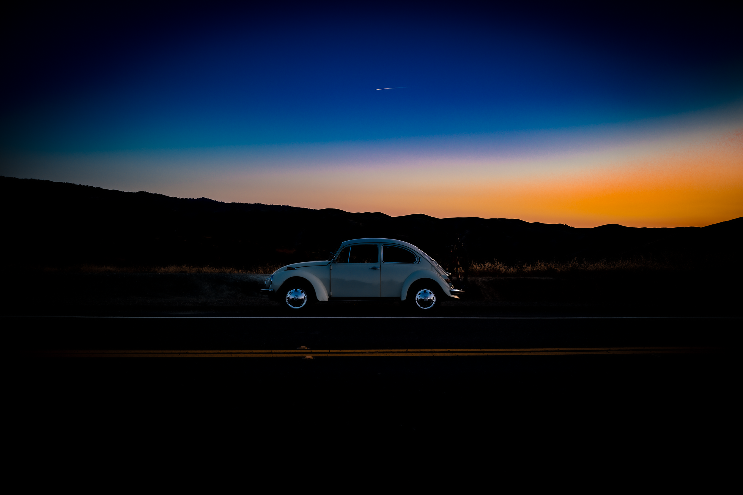 Sunset Beetle .png