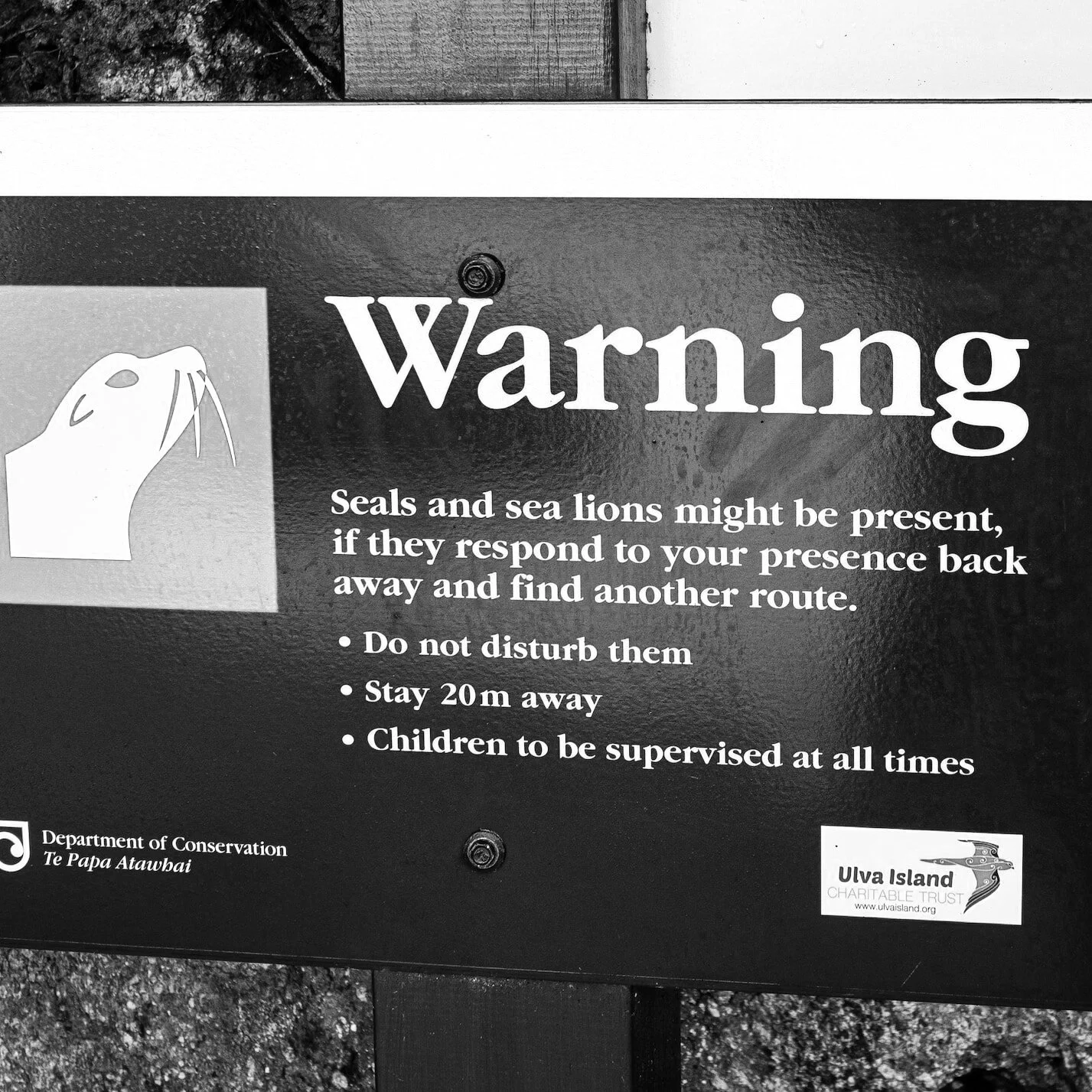 On Ulva, the Scottish island with just six residents, life goes on amid the coronavirus pandemic