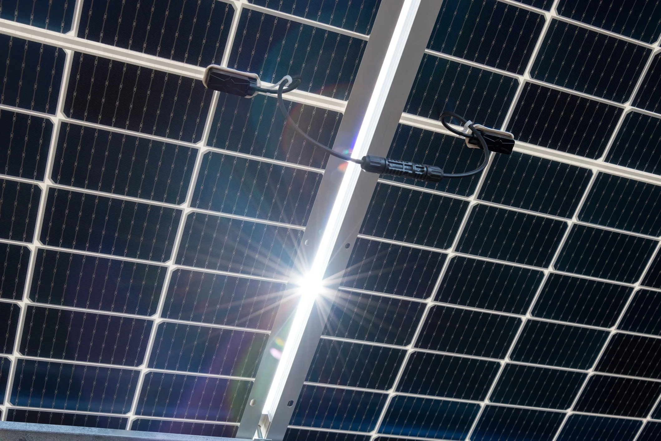 Bifacial pv-modul fra Ecosol