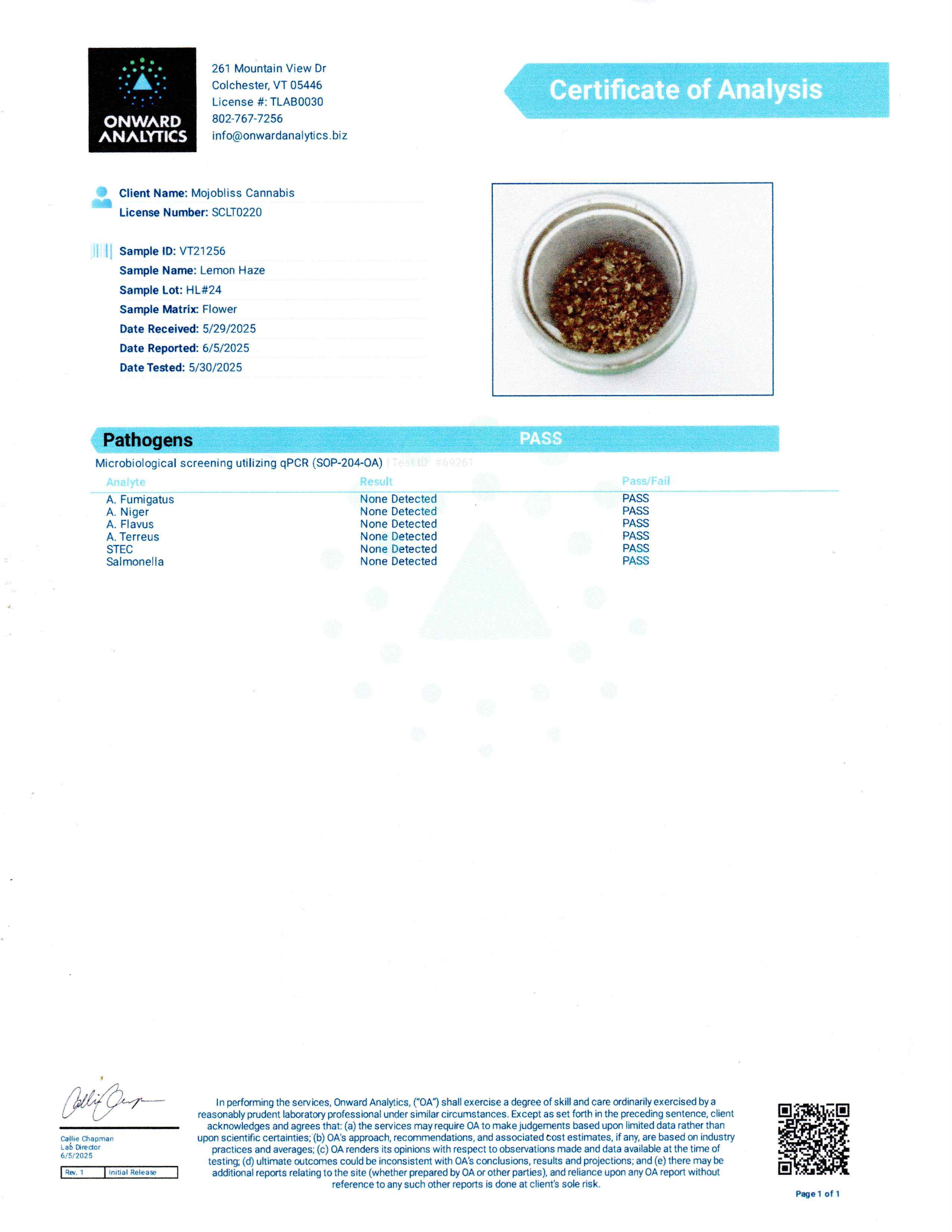 Lemon Haze Pathogens 