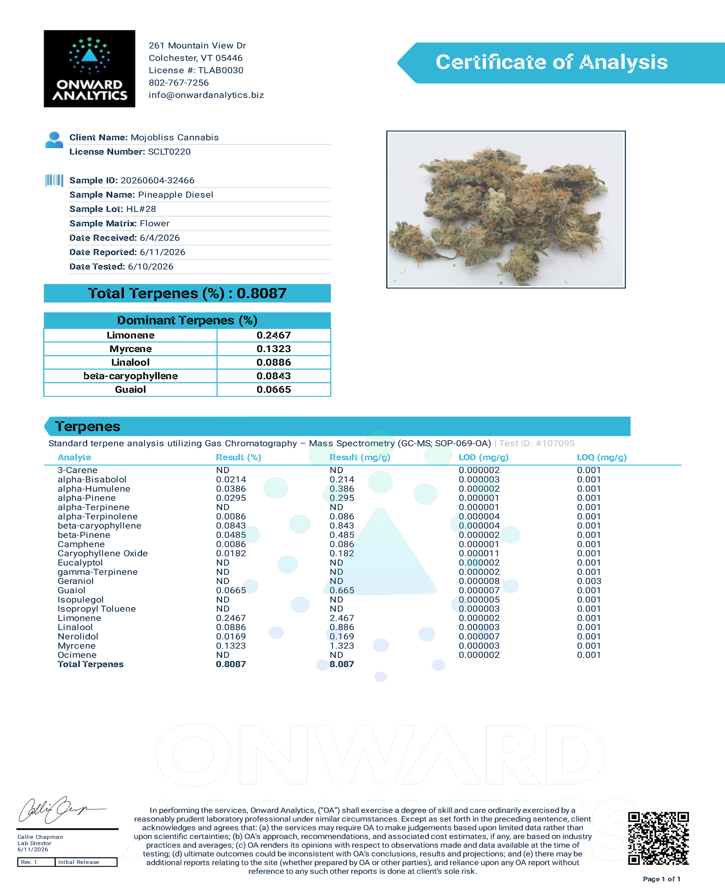 Pineapple Diesel Terpenes