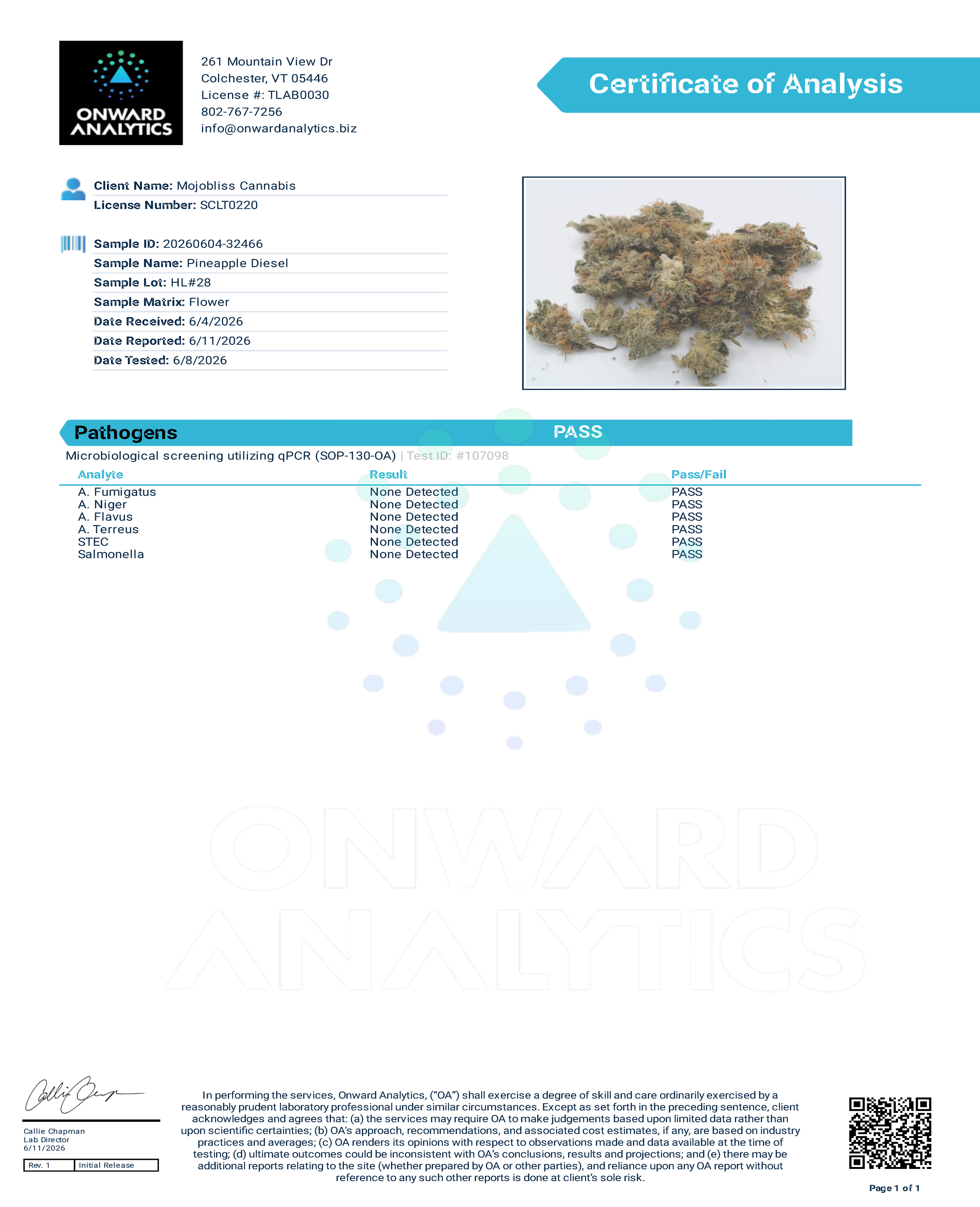 Pineapple Diesel Pathogens