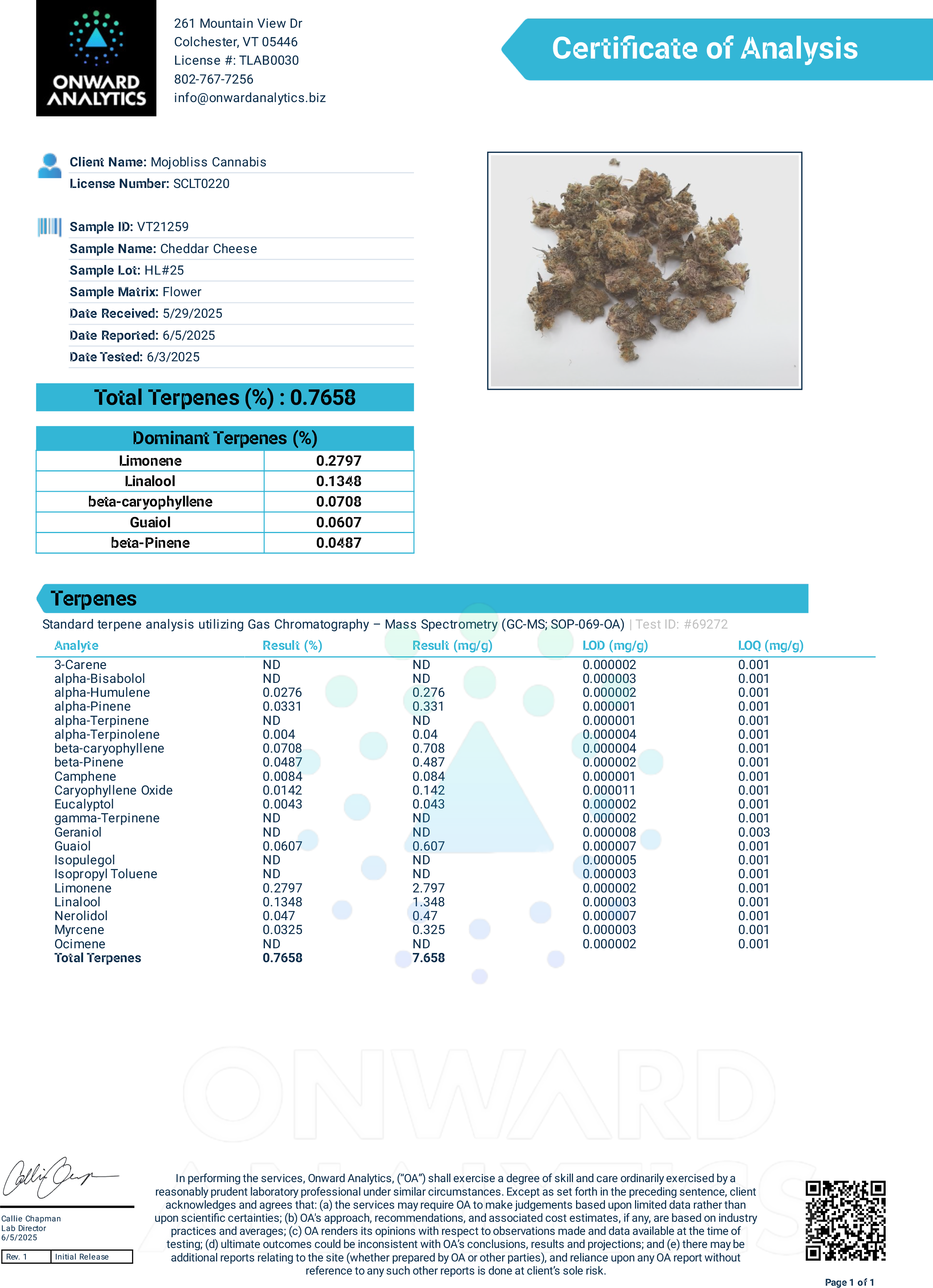Cheddar cheese HL 25 Terpenes