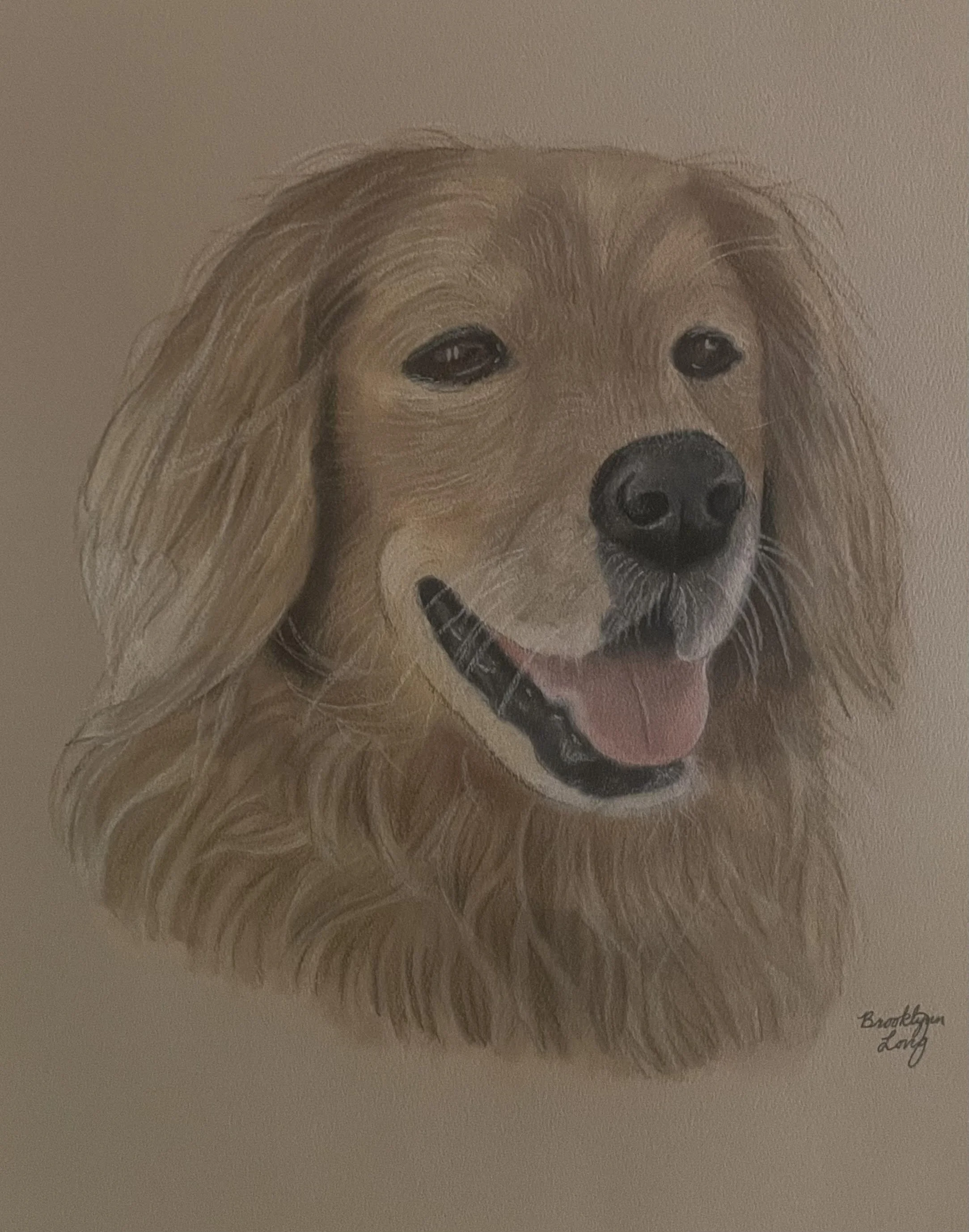 dog.jpg