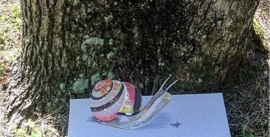snail.jpg