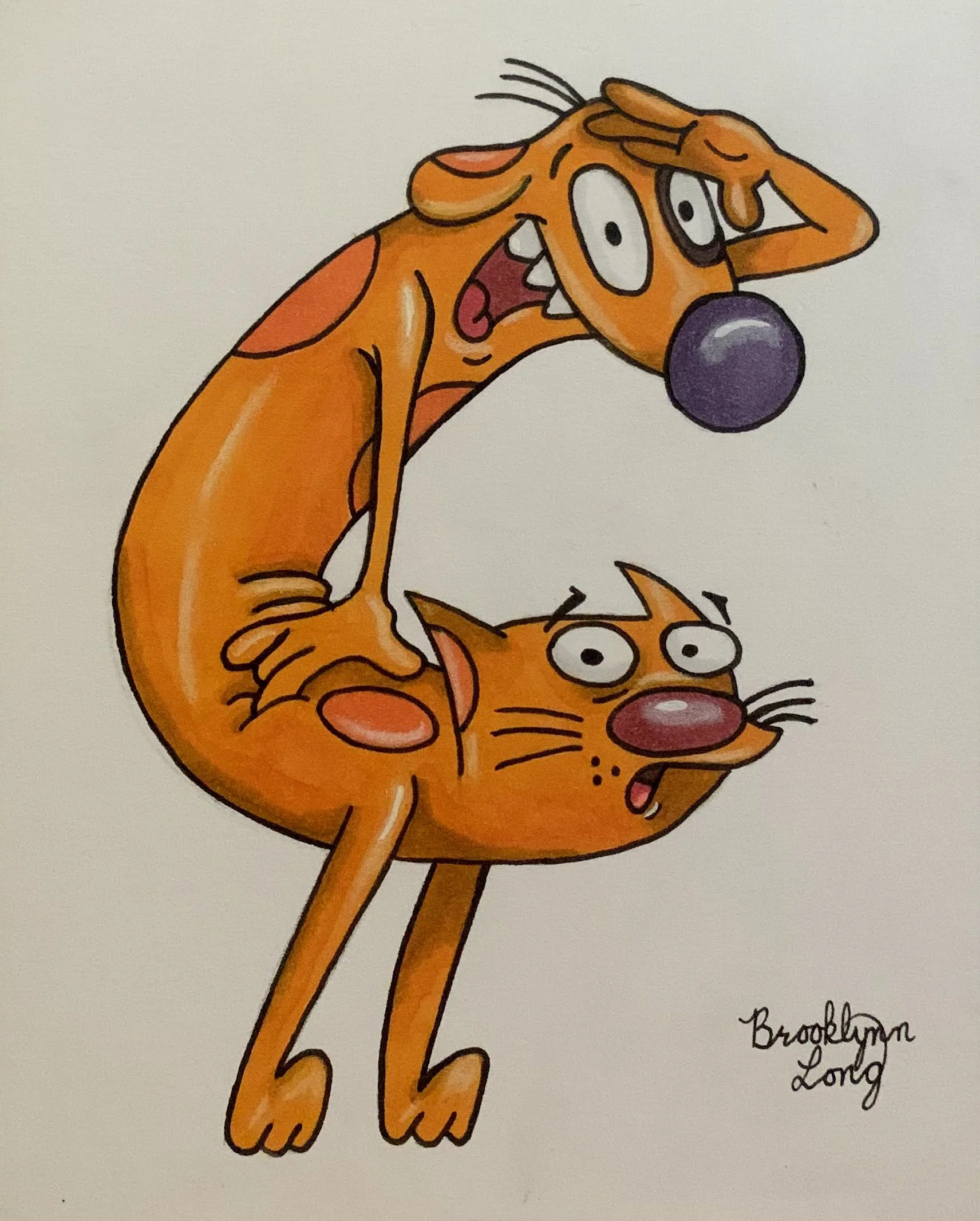 catdog.jpg
