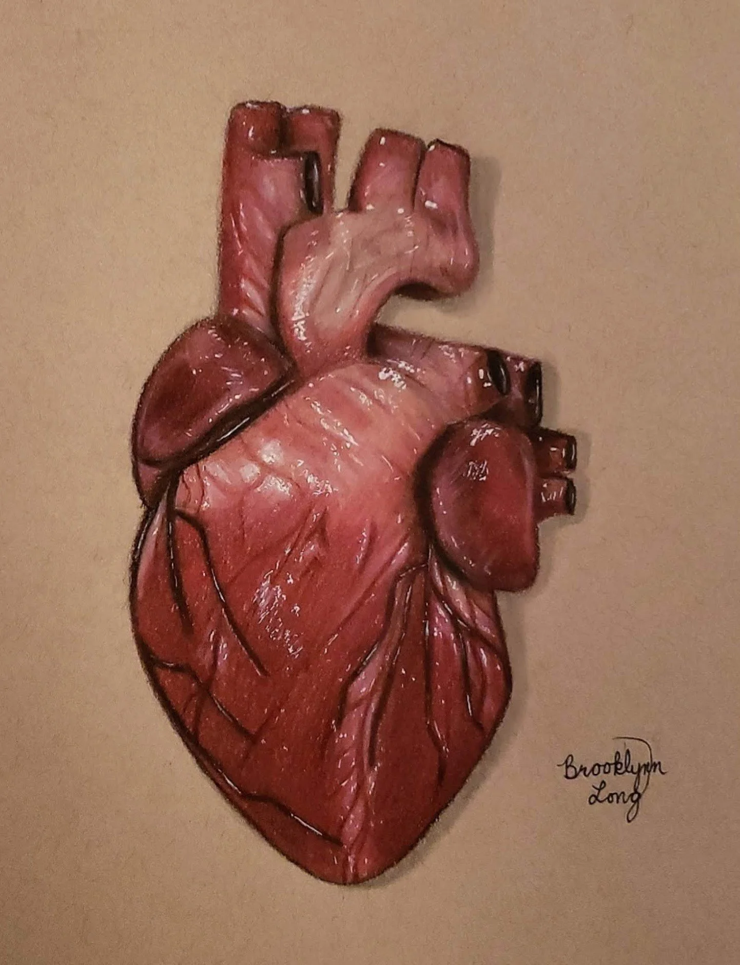 heart.jpg